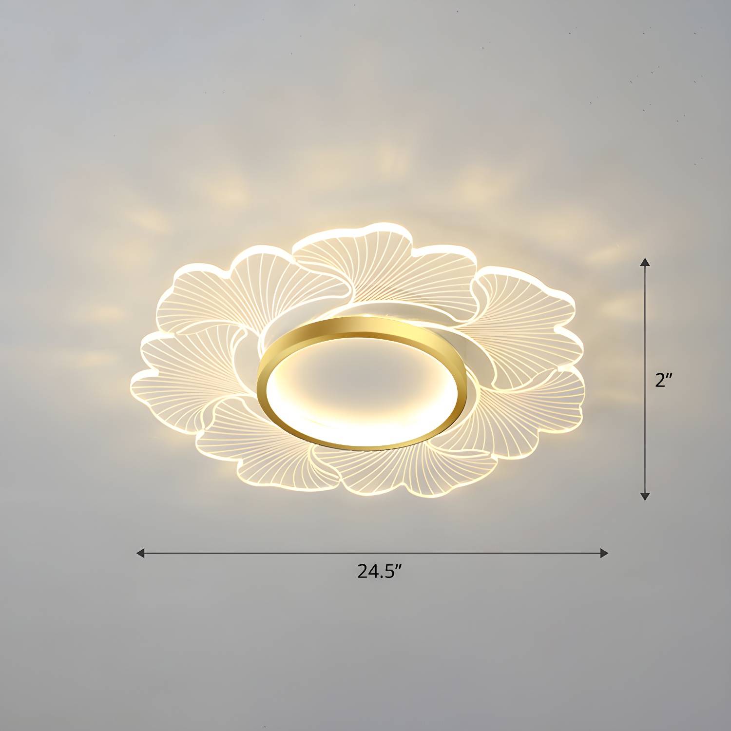 Imported image e7ffc2a2f732 2422680.jpg