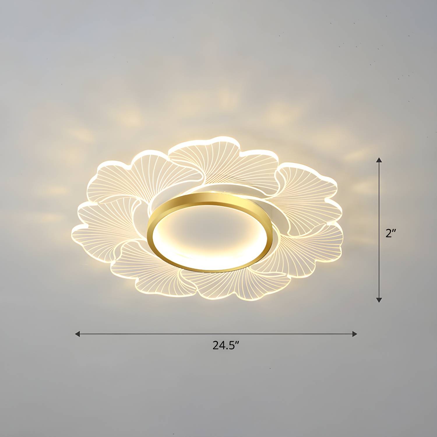 Imported image 33fff8410cbf 2422681.jpg