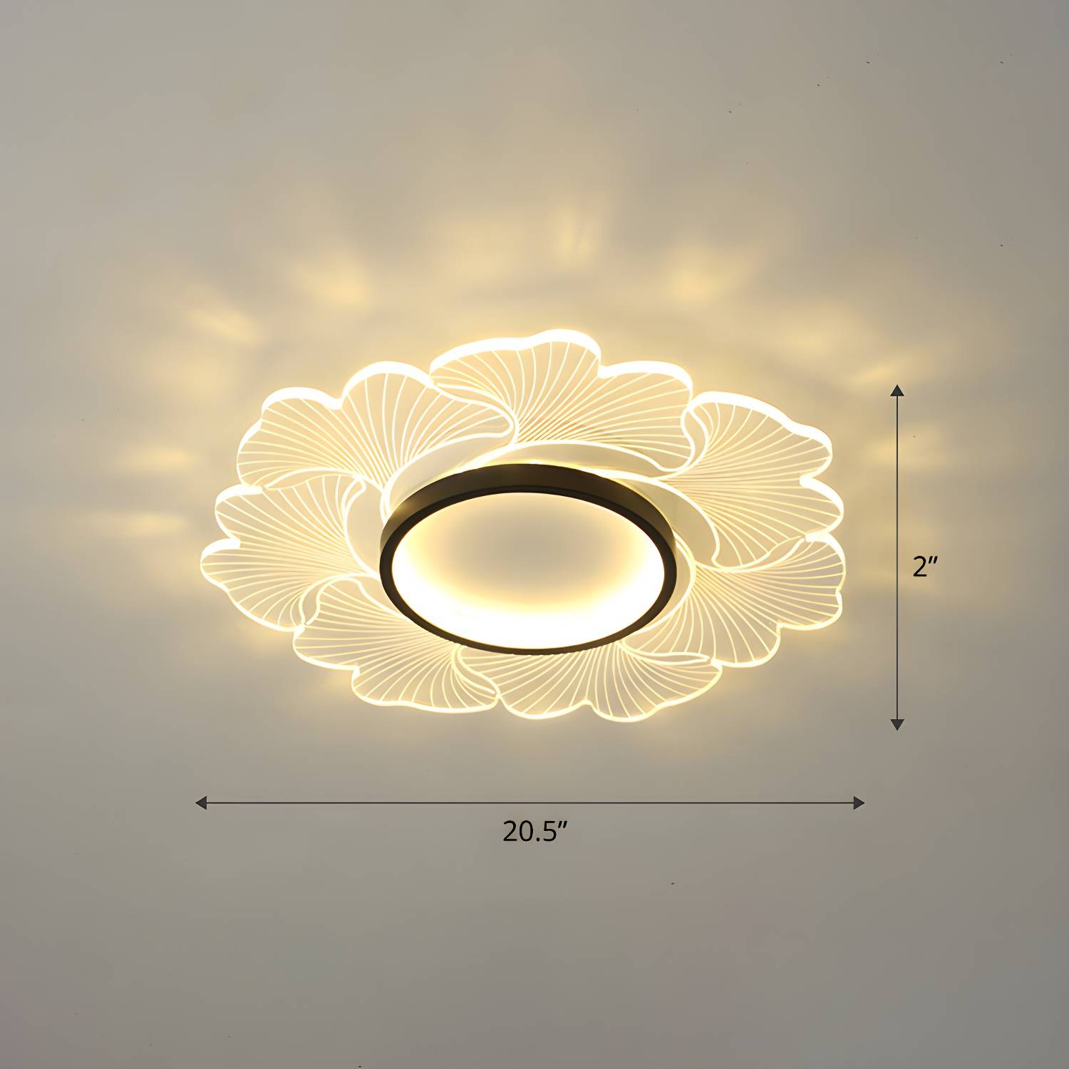 Imported image 4c939b1aeedd 2422684.jpg