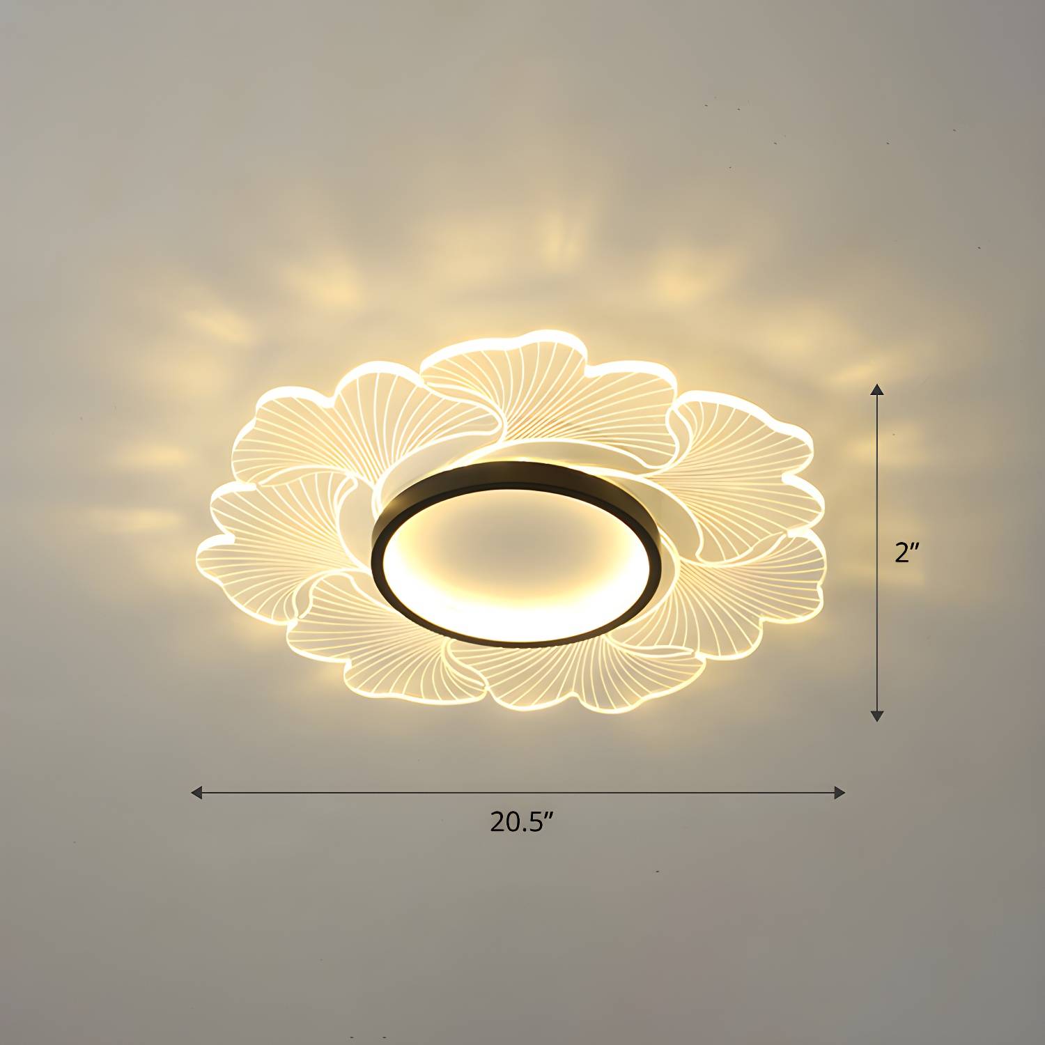 Imported image 45c0c69bd8d1 2422685.jpg