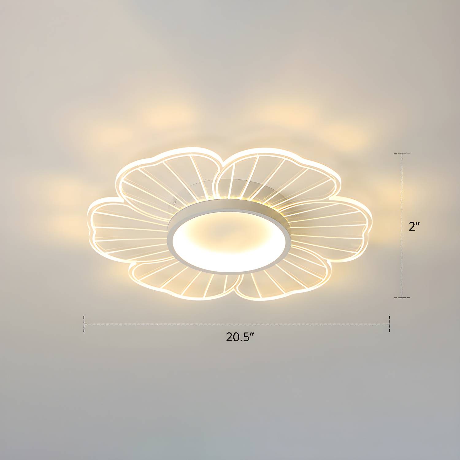 Imported image b52ed4457ea4 2422690.jpg