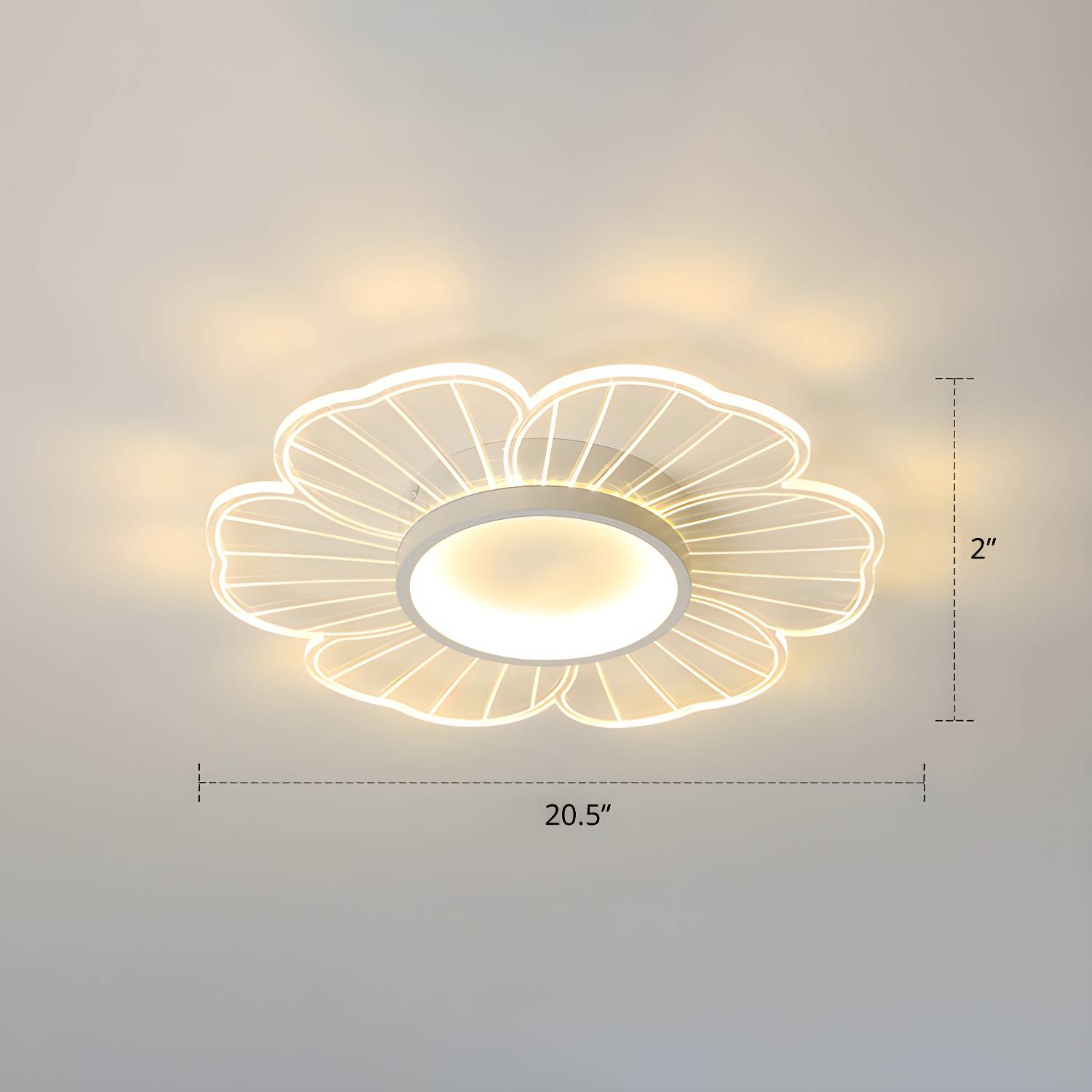 Imported image 342a6e6410b6 2422691.jpg