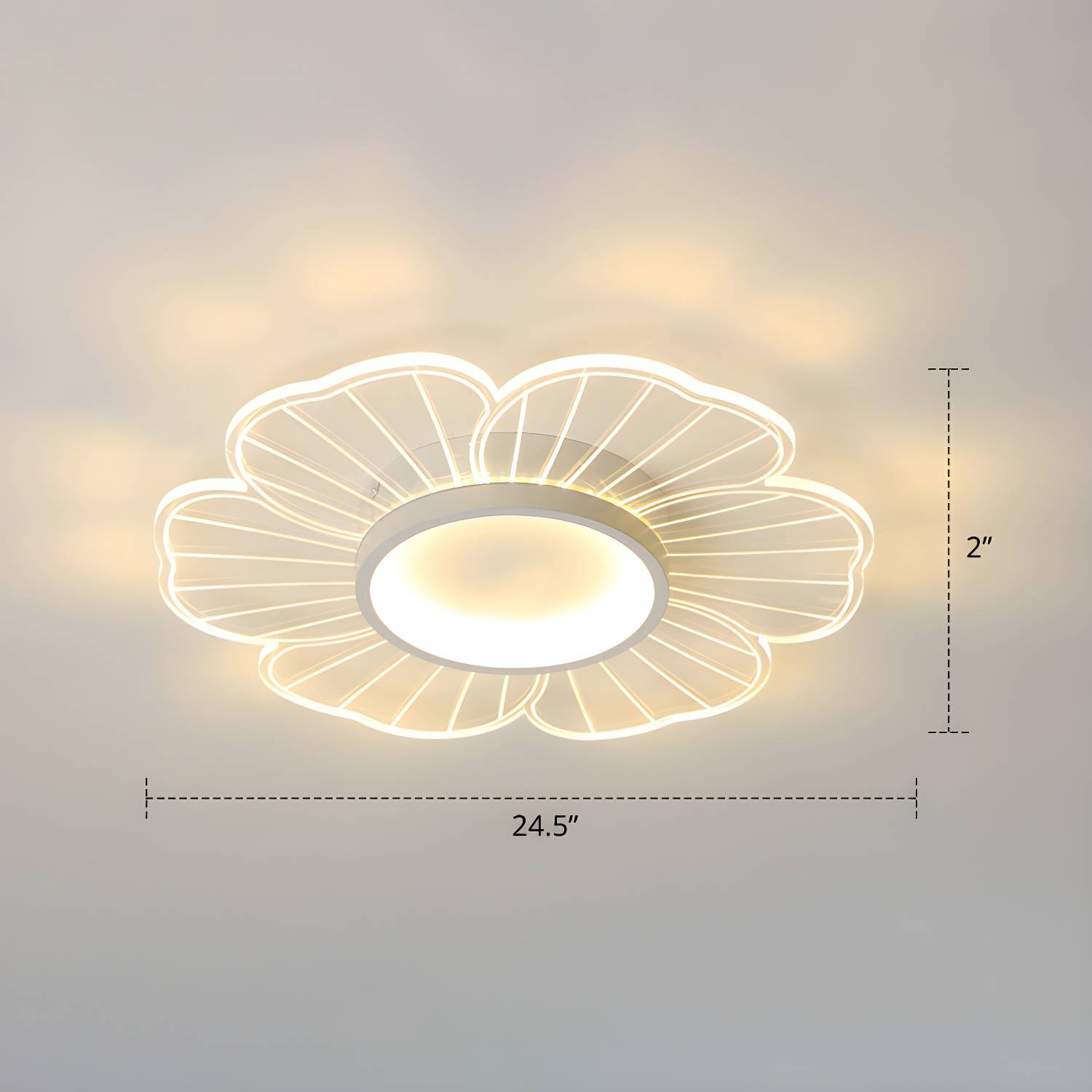 Imported image 1604e89c818f 2422692.jpg