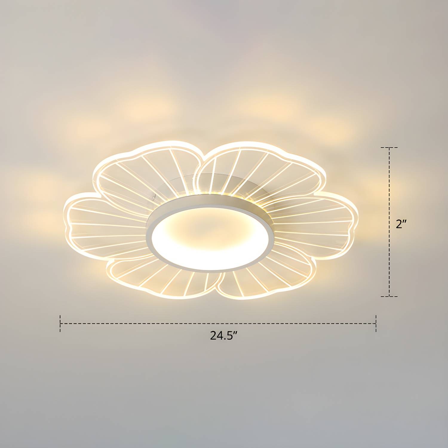 Imported image 4ba9abb104ae 2422693.jpg