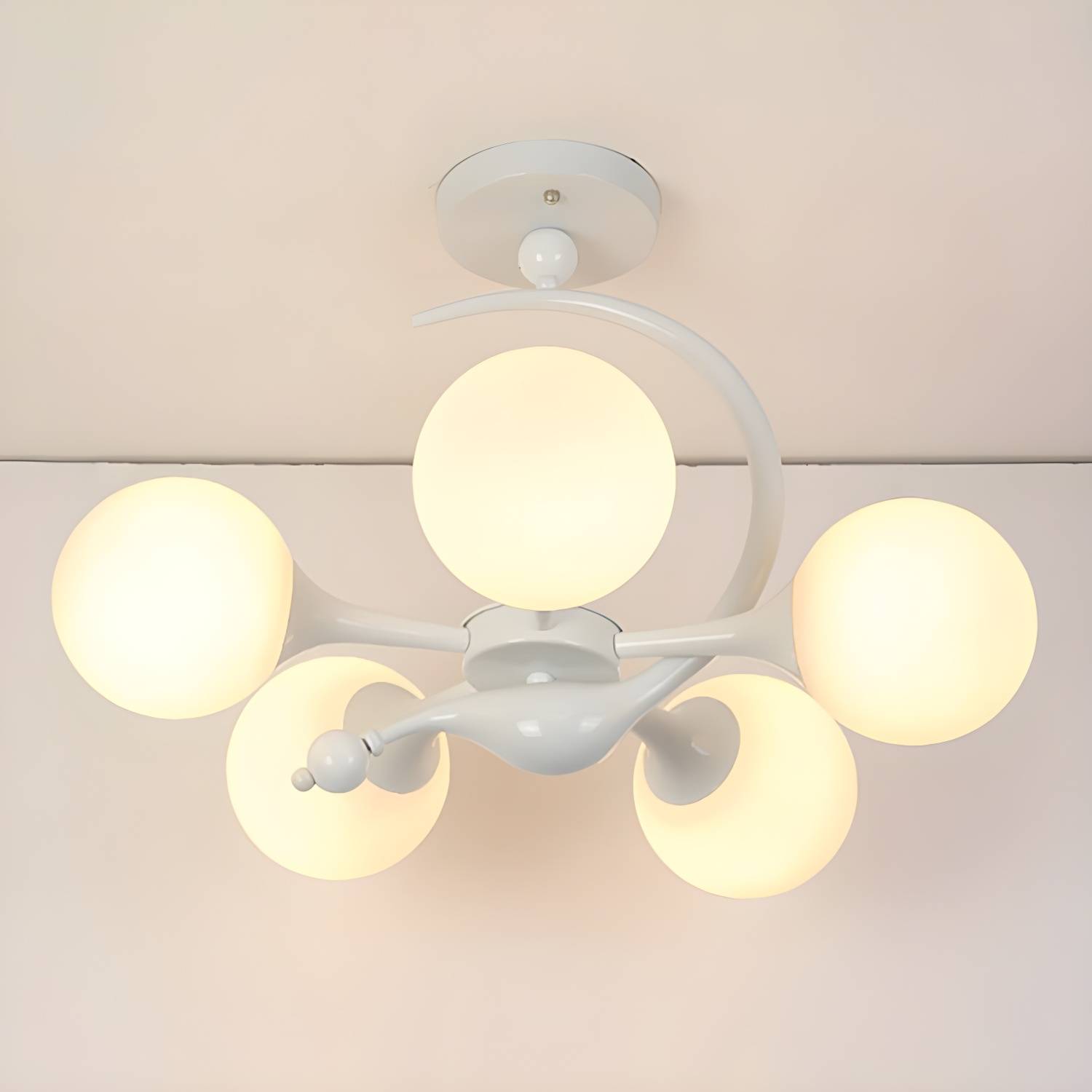 Imported image acdf648d5c9c 2422991.jpg