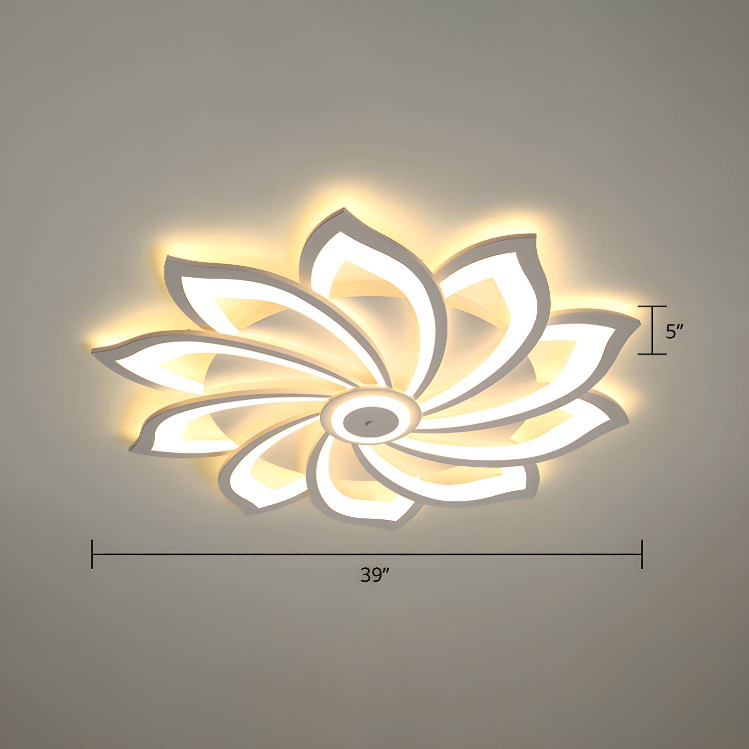 Imported image cf06c6042b63 2423307.jpg