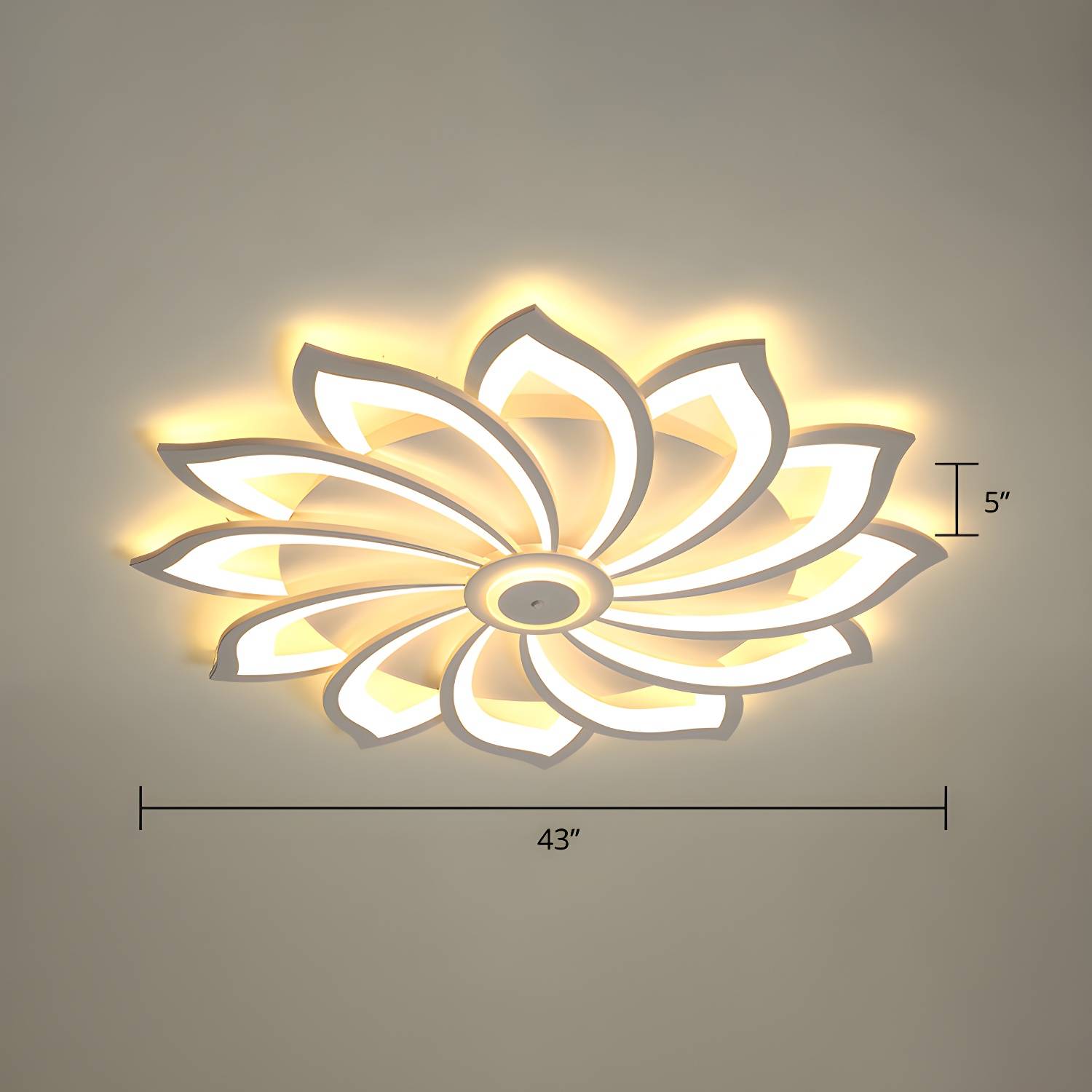 Imported image 87dc1832a069 2423312.jpg