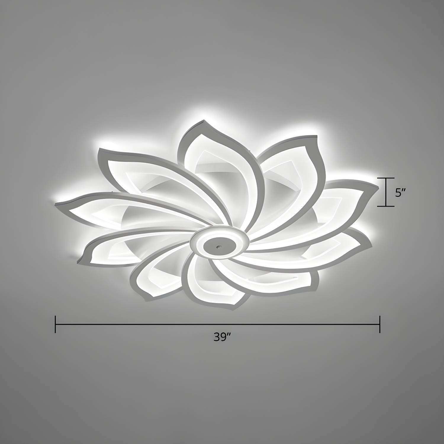 Imported image ee1482f34b9a 2423316.jpg