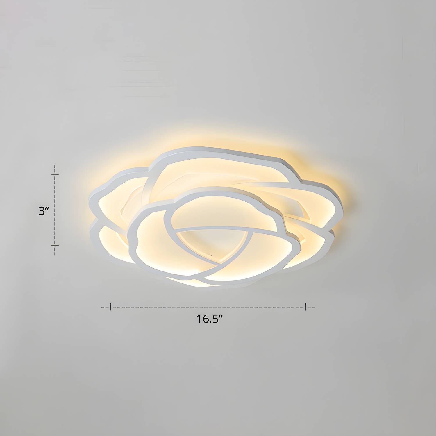 Imported image ab524edfff24 2423372.jpg