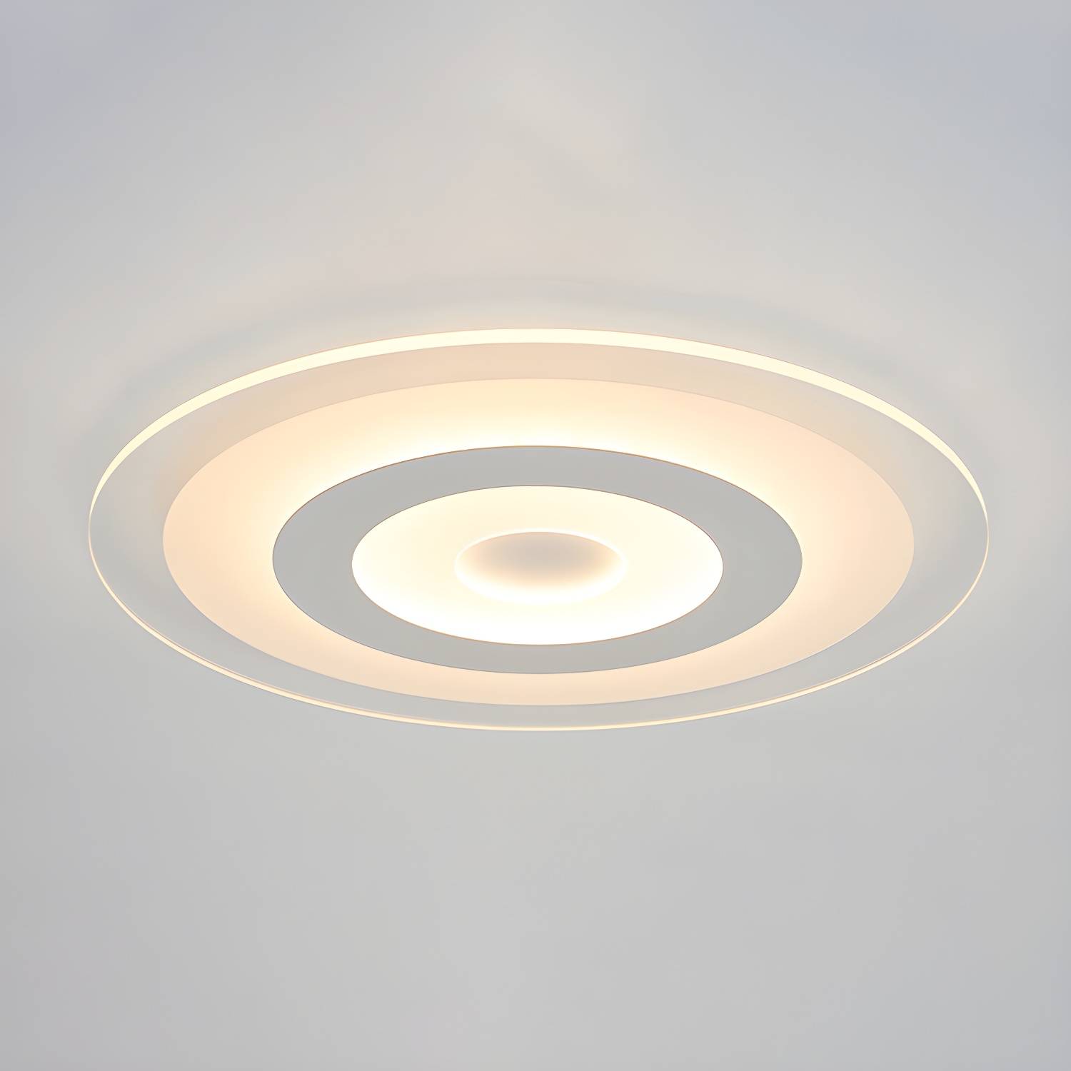 Imported image b7cd83b9e93a 2423928.jpg