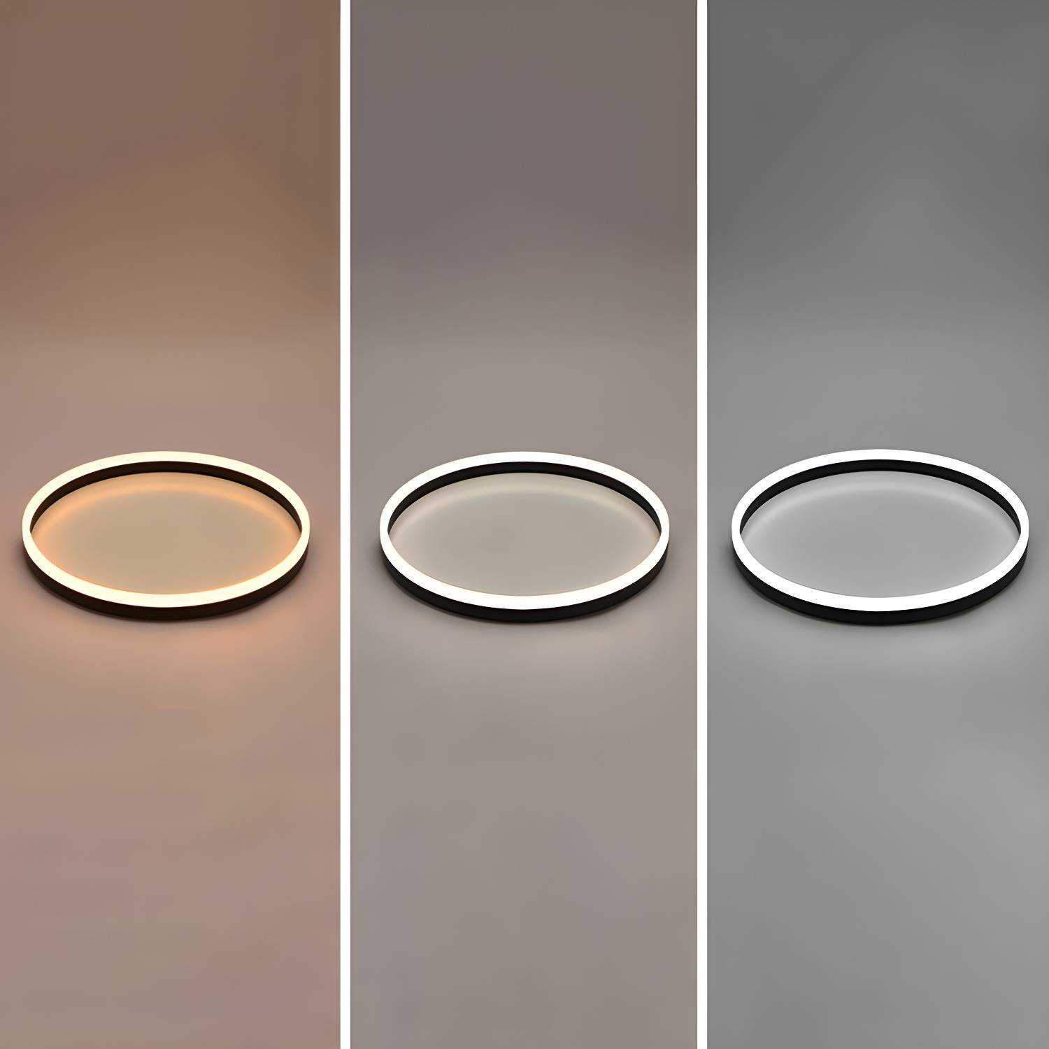 Imported image 60b09e6755e6 2423972.jpg
