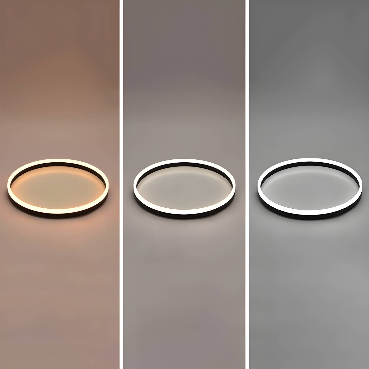 Imported image b772e51fbef2 2423988.jpg