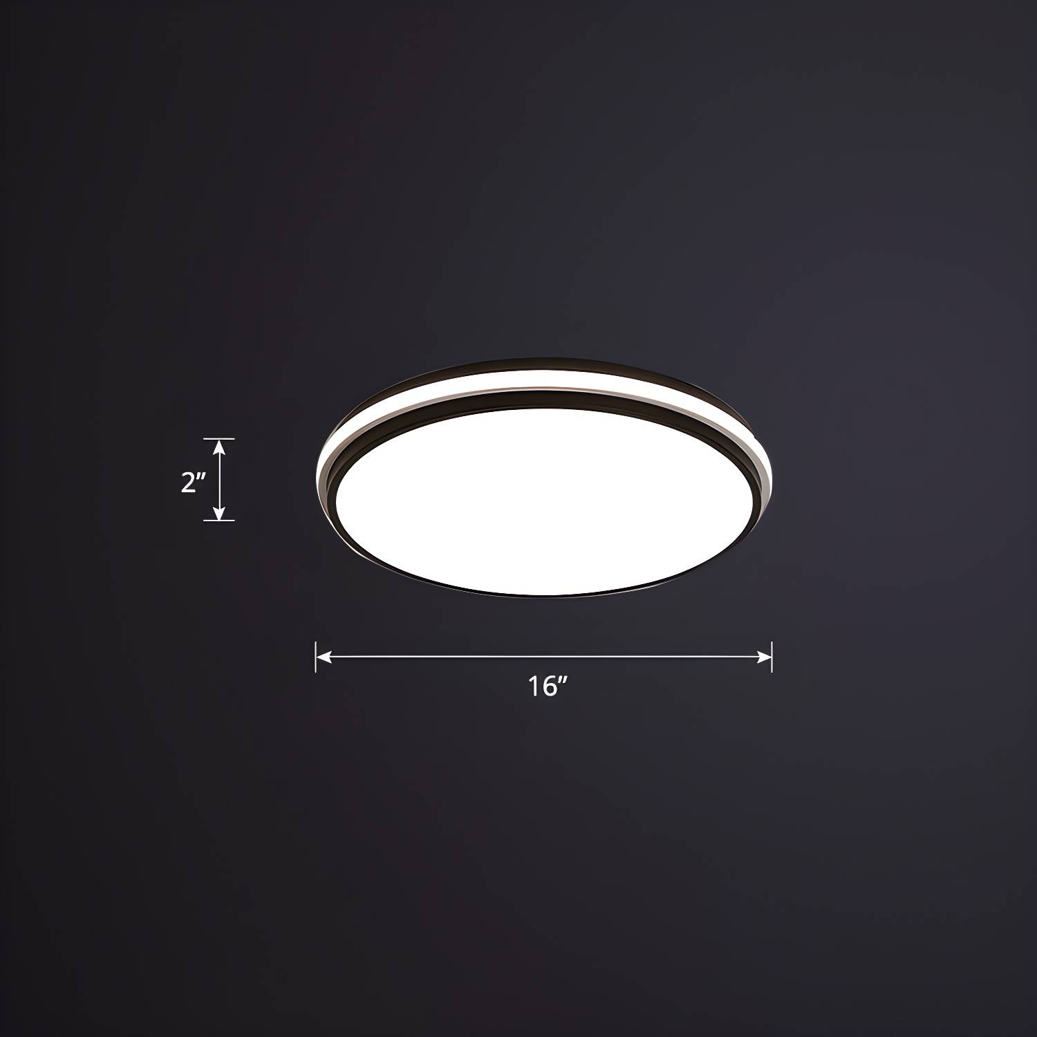 Imported image 4a60121484f6 2424028.jpg