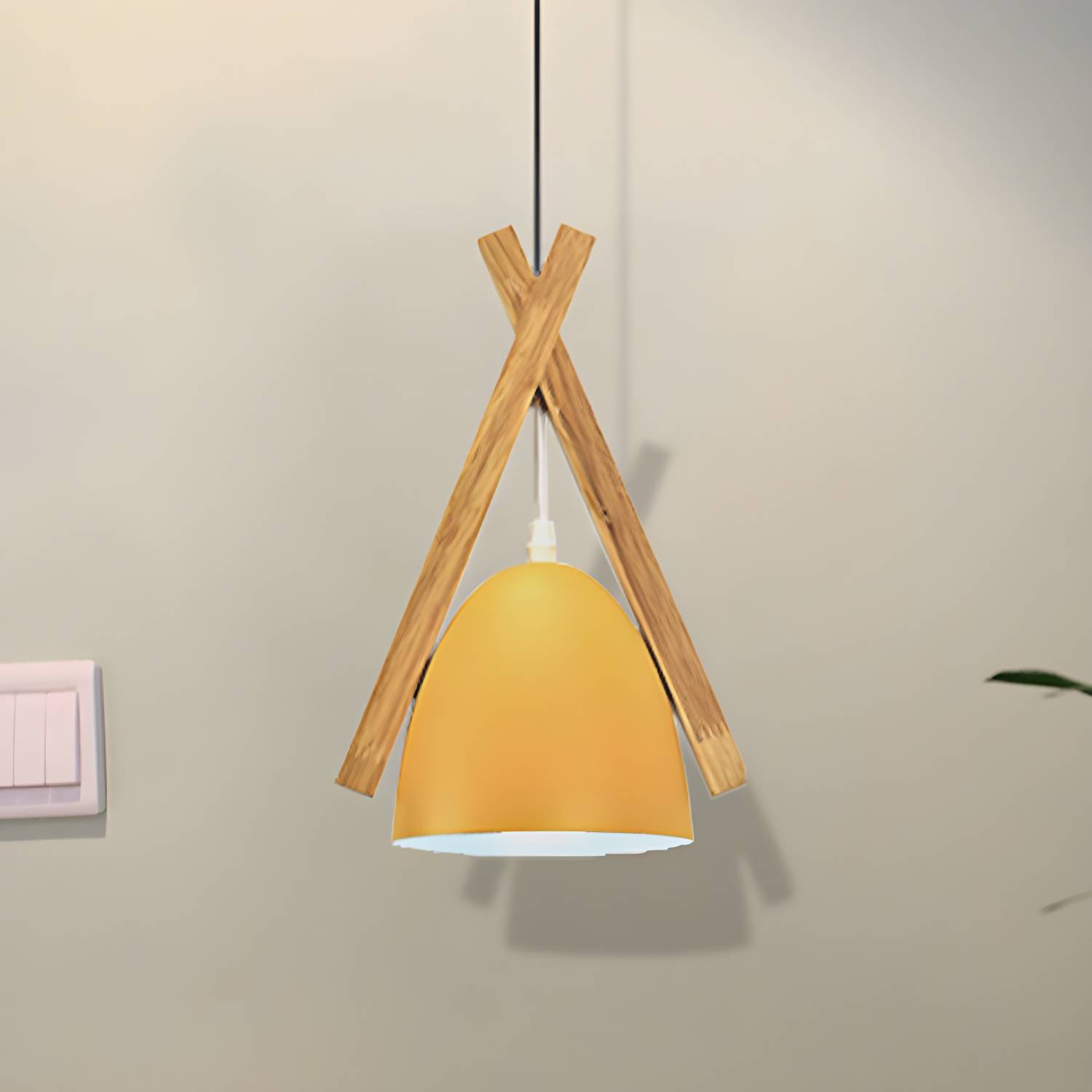 Imported image 5a014a353e16 242853.jpg
