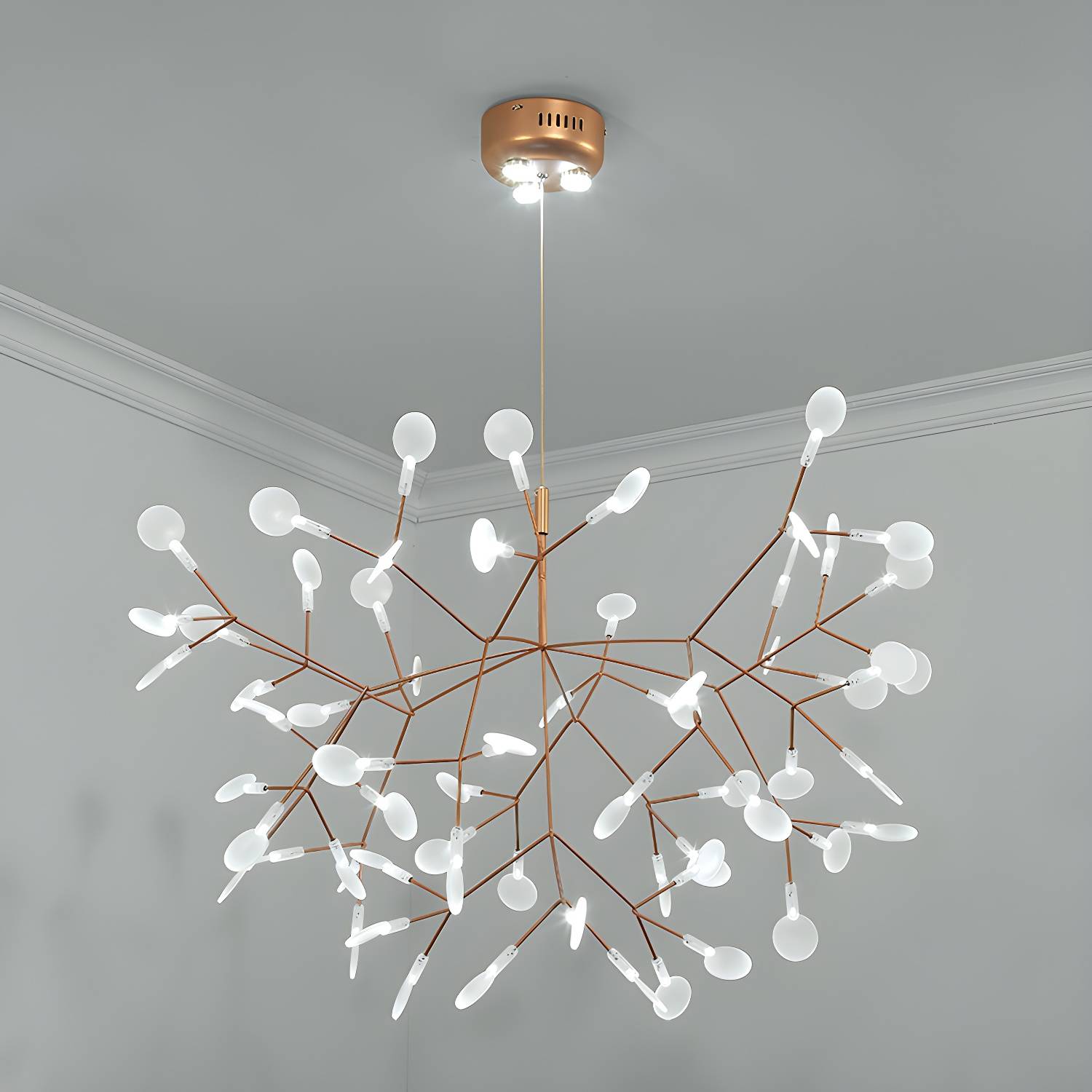 Imported image 4c510c0888a4 2459946.jpg