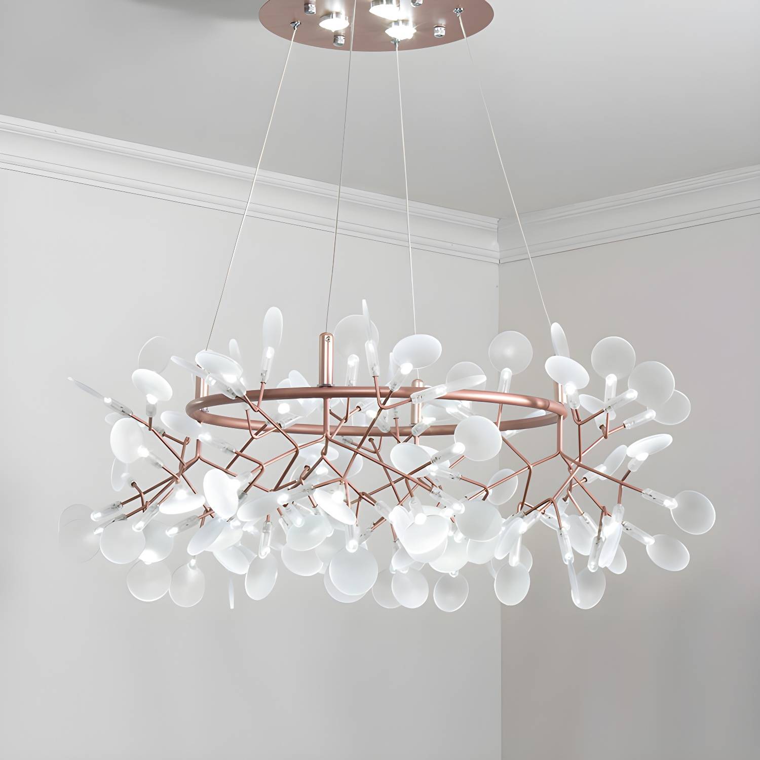 Imported image 4ce086ee13d0 2459953.jpg