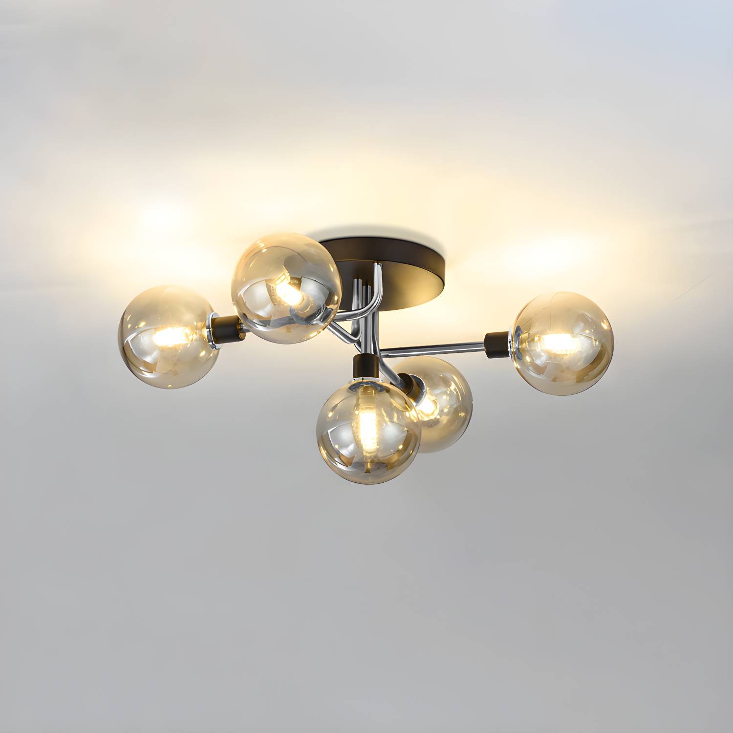 Imported image a72788eacc8c 2462404.jpg