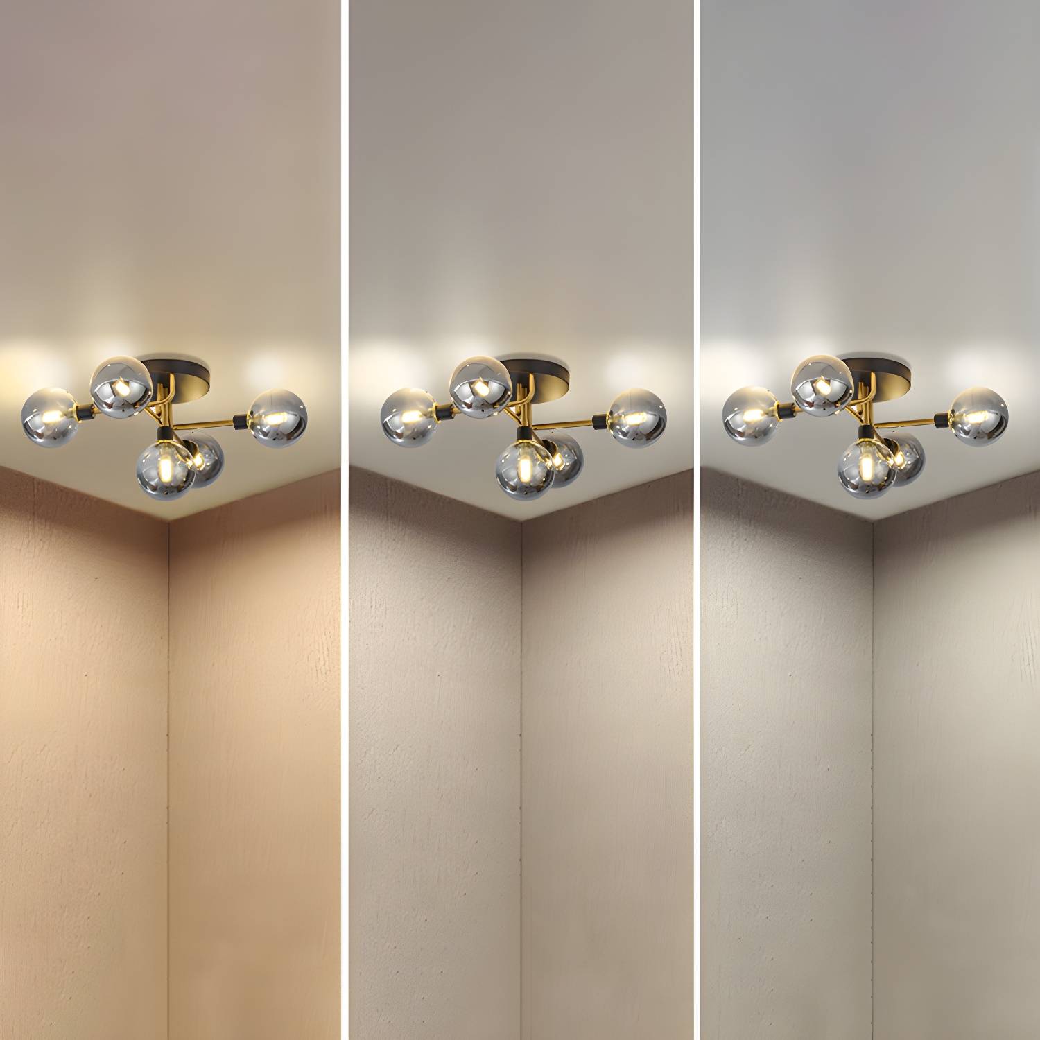 Imported image 4bee41ee6ec2 2462409.jpg