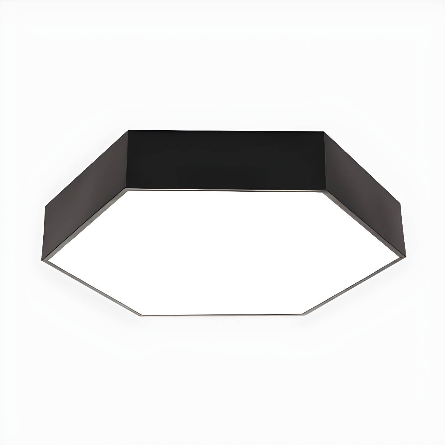 Imported image d2efd3d09240 2465001.jpg