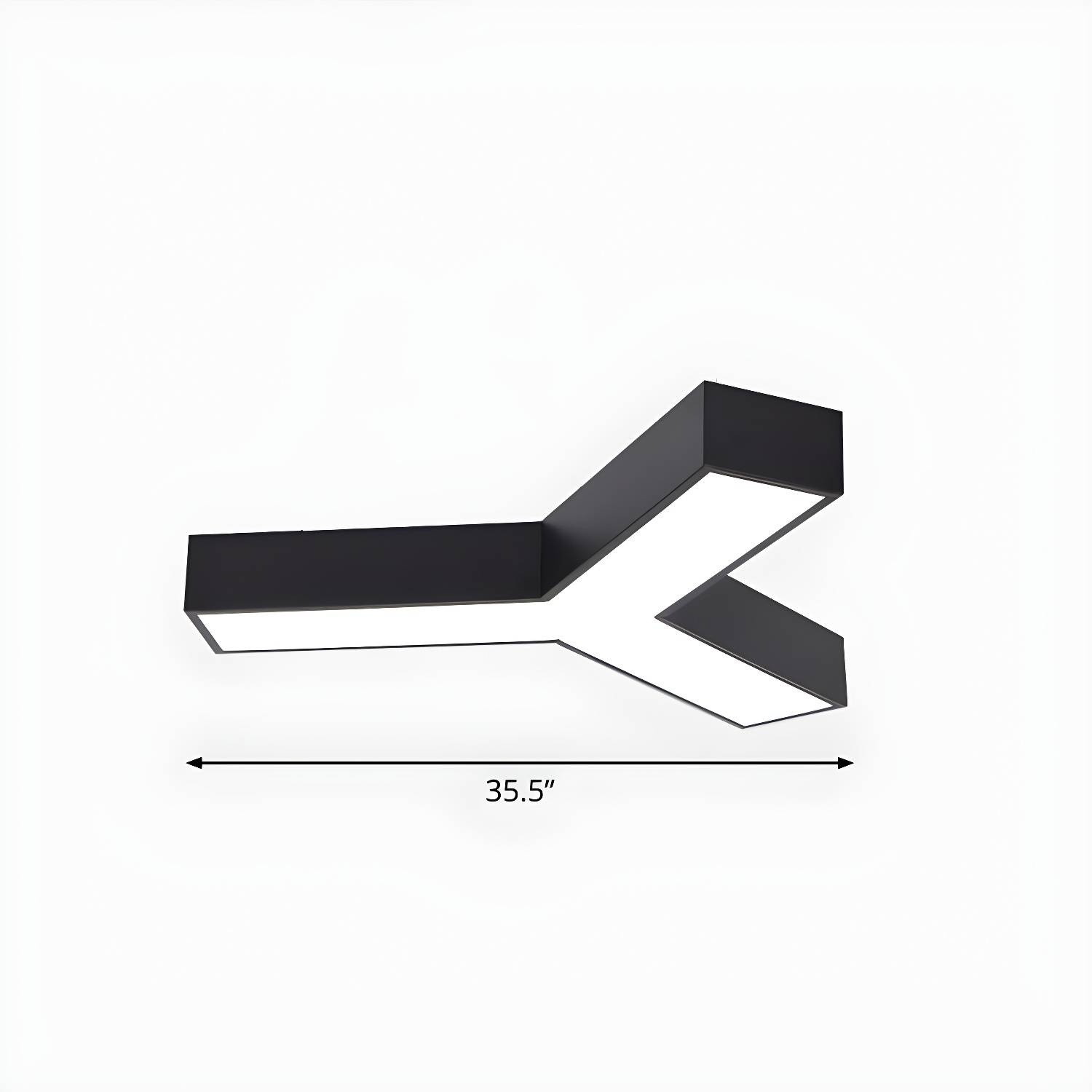 Imported image d49bb2459264 2465016.jpg