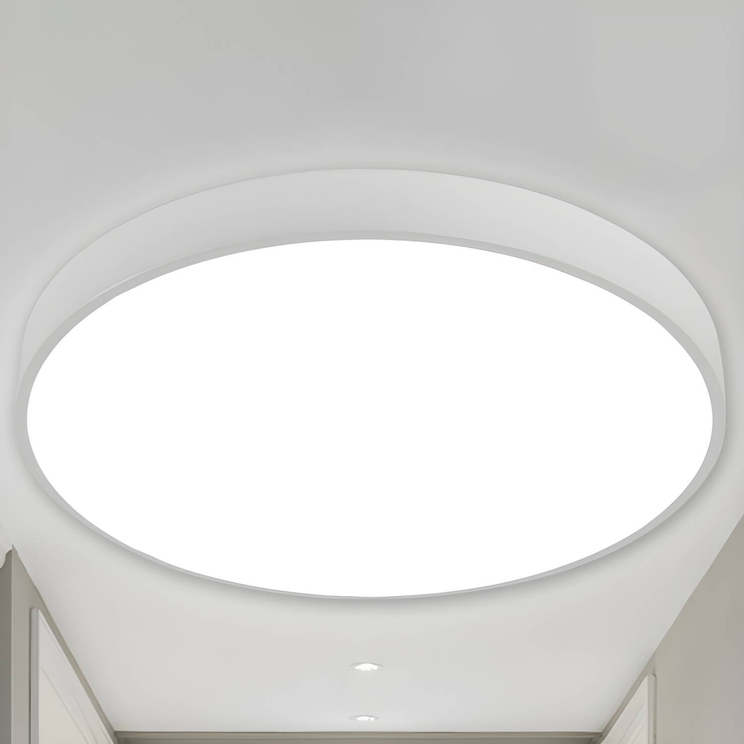 Imported image d7bbed1a84e7 2466833.jpg