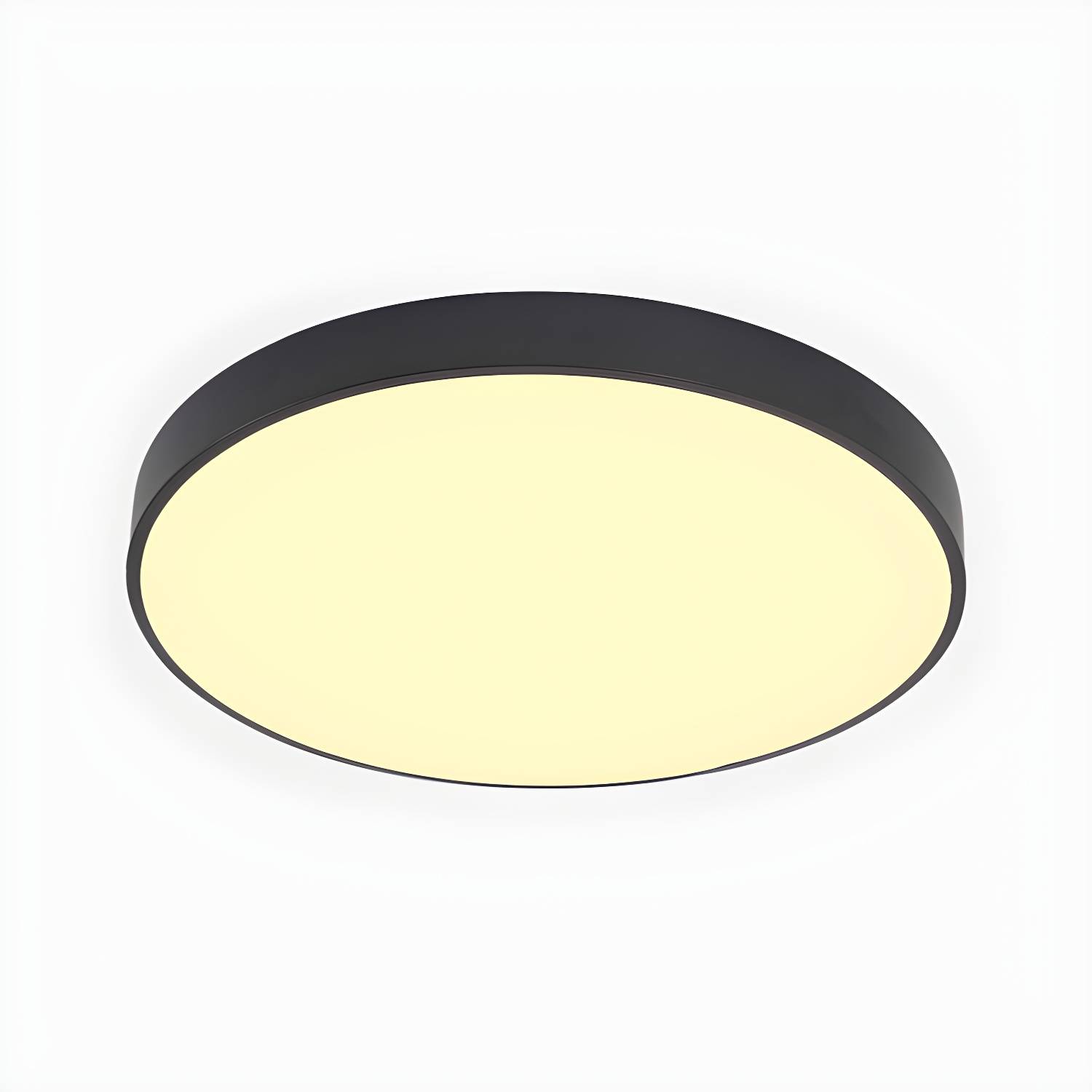 Imported image 9e7ebc046863 2466845.jpg