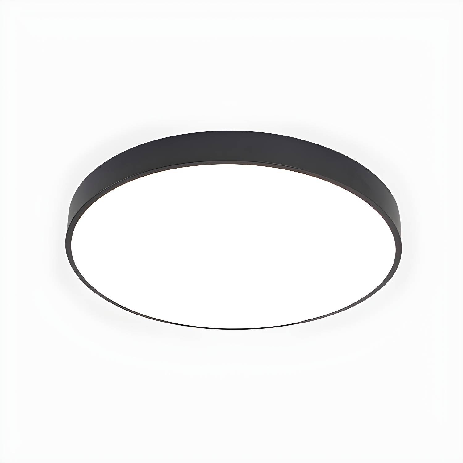 Imported image b8f54d598915 2466848.jpg