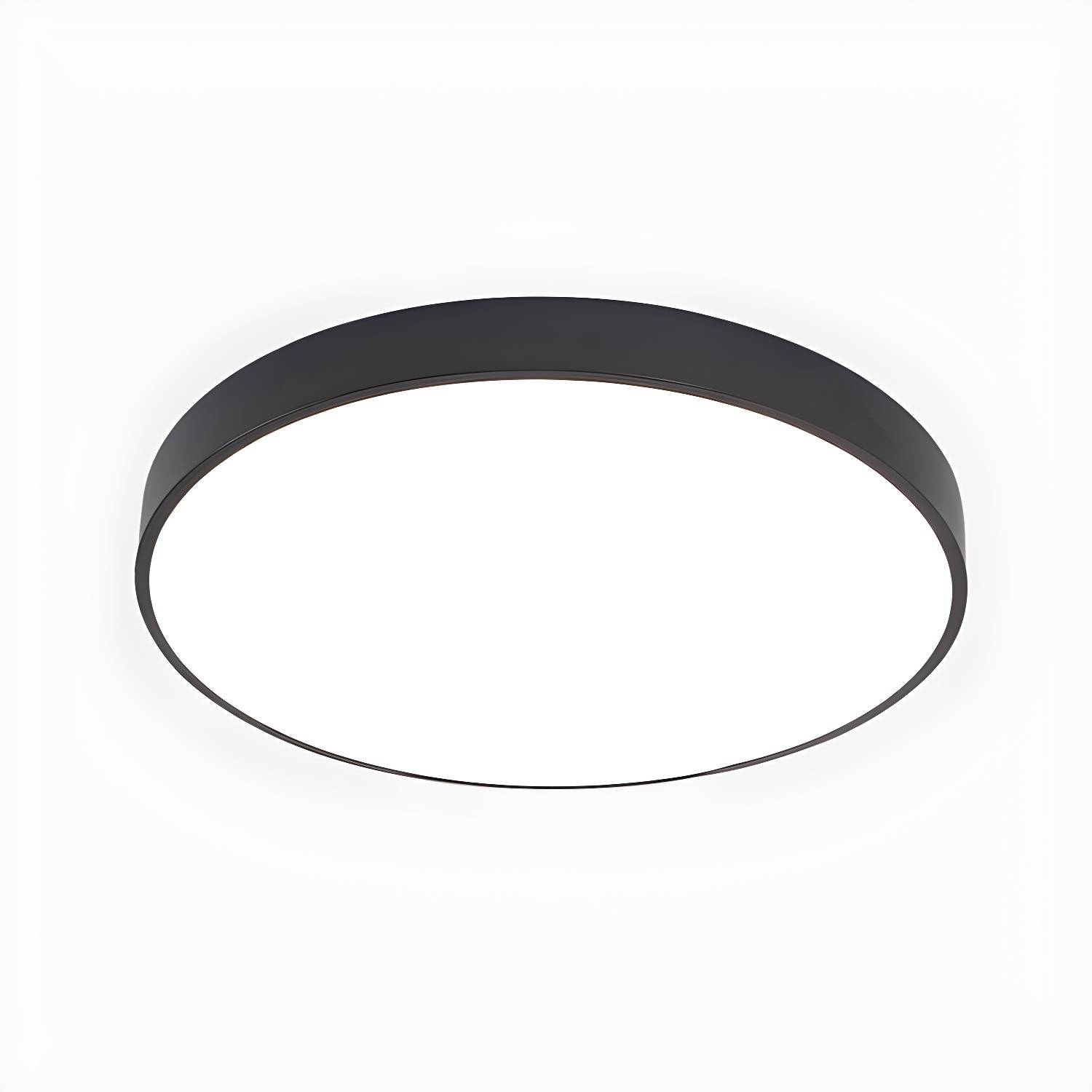 Imported image f8aac51eaab7 2466849.jpg