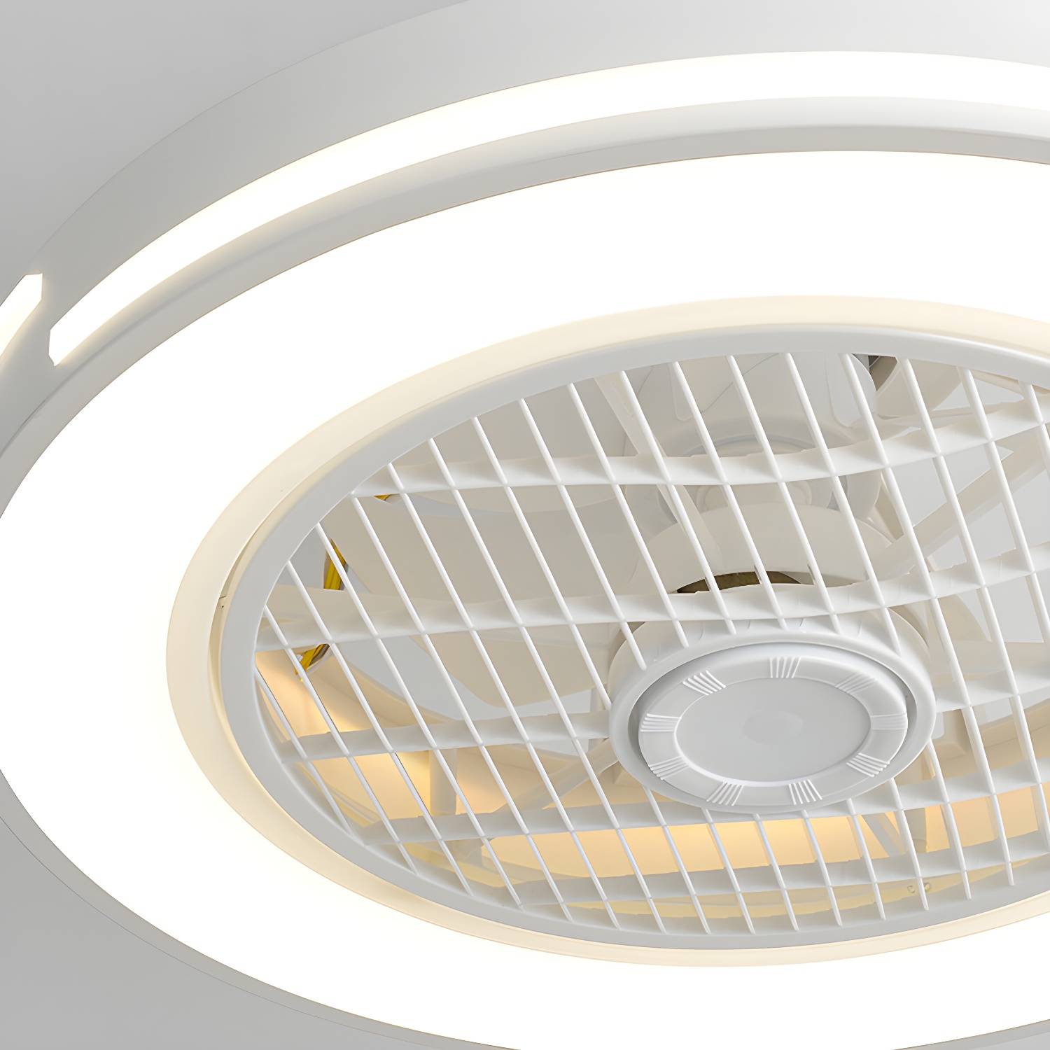 Imported image df4dec6a12ab 2477666.jpg