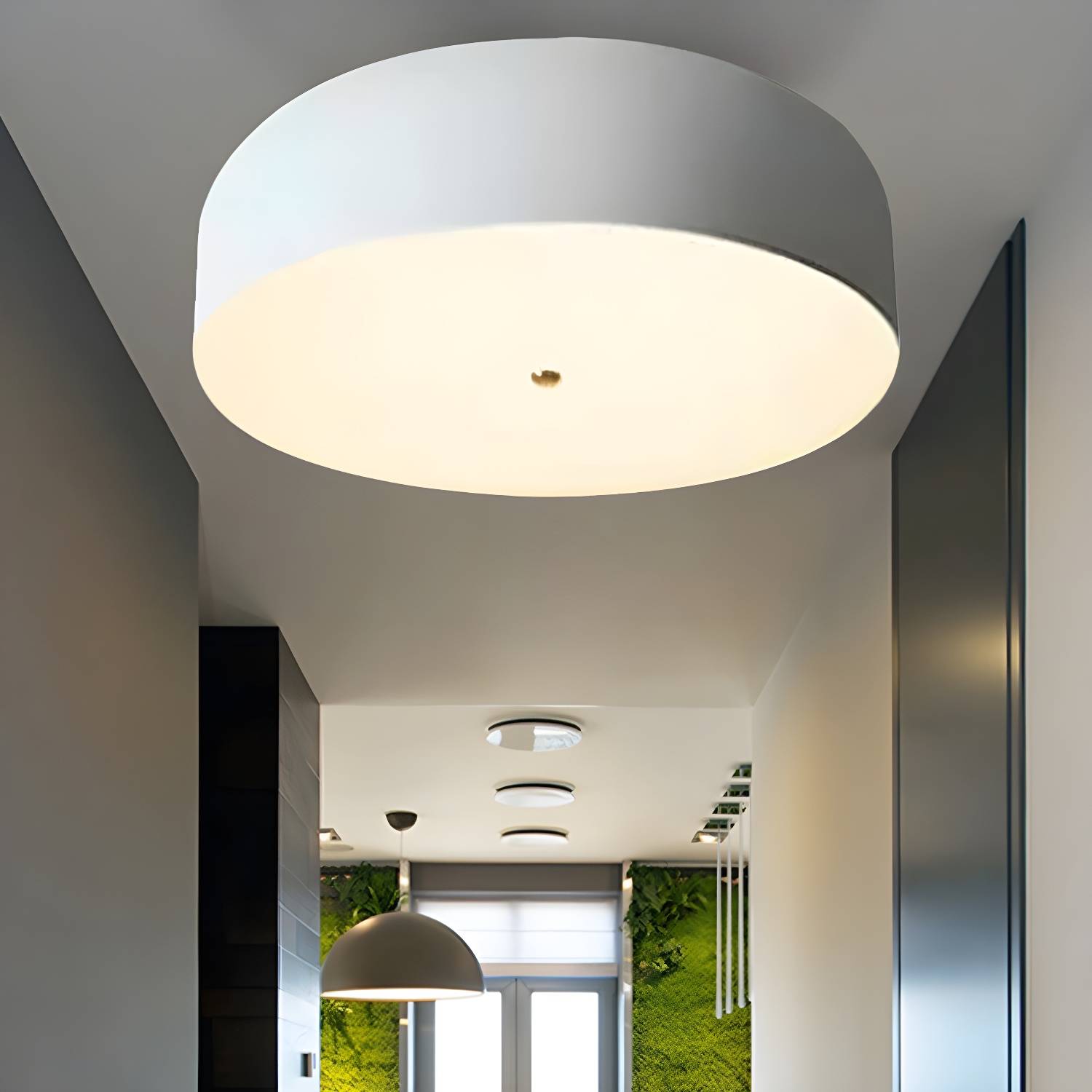 Imported image ca12c4cbc775 251600.jpg