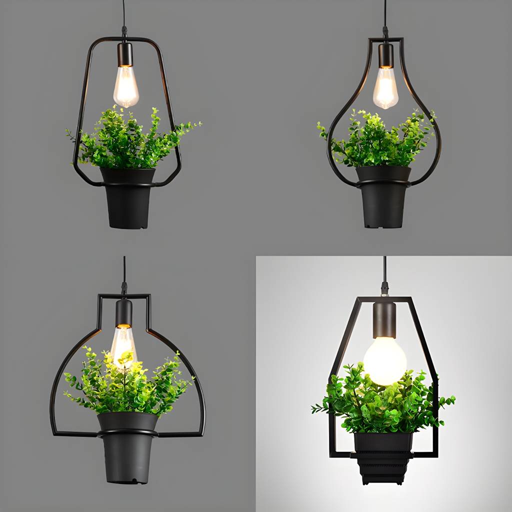 Imported image d4be4e668bcd 25417.jpg