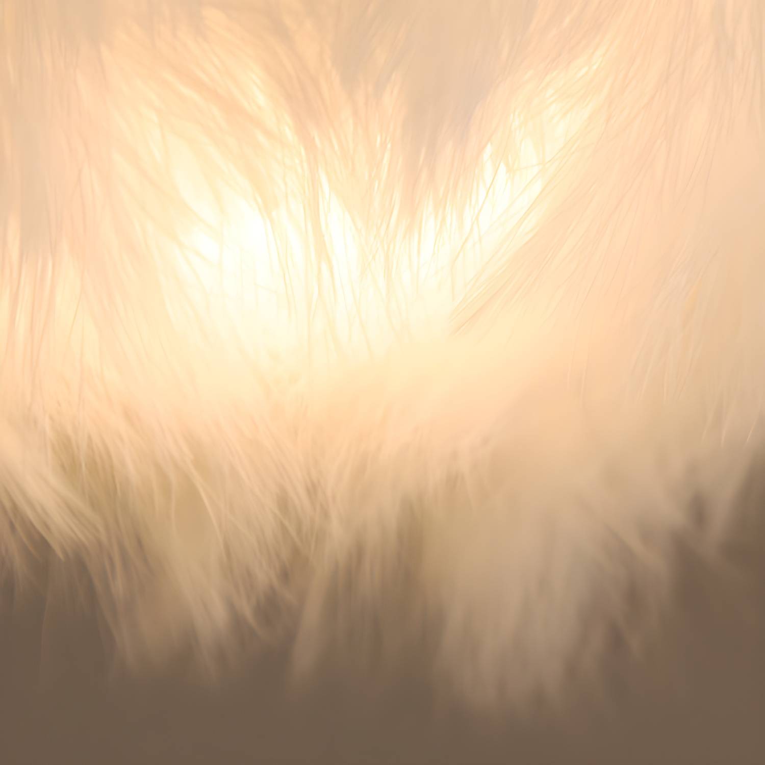 Imported image 88c46e357b51 2546702.jpg