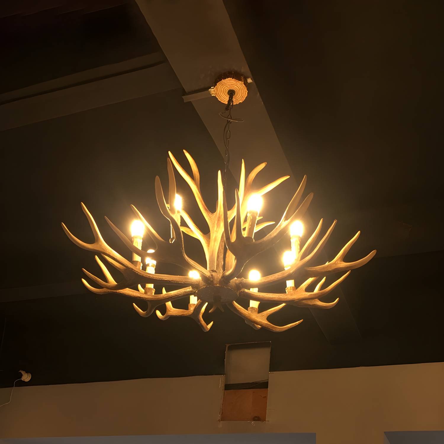 Imported image c7735eefc3e1 2546778.jpg