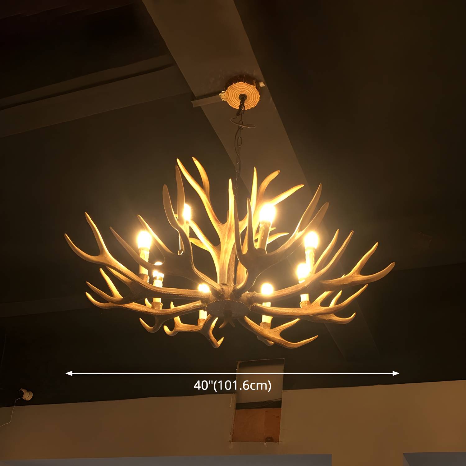 Imported image 728ab7298f8e 2546779.jpg