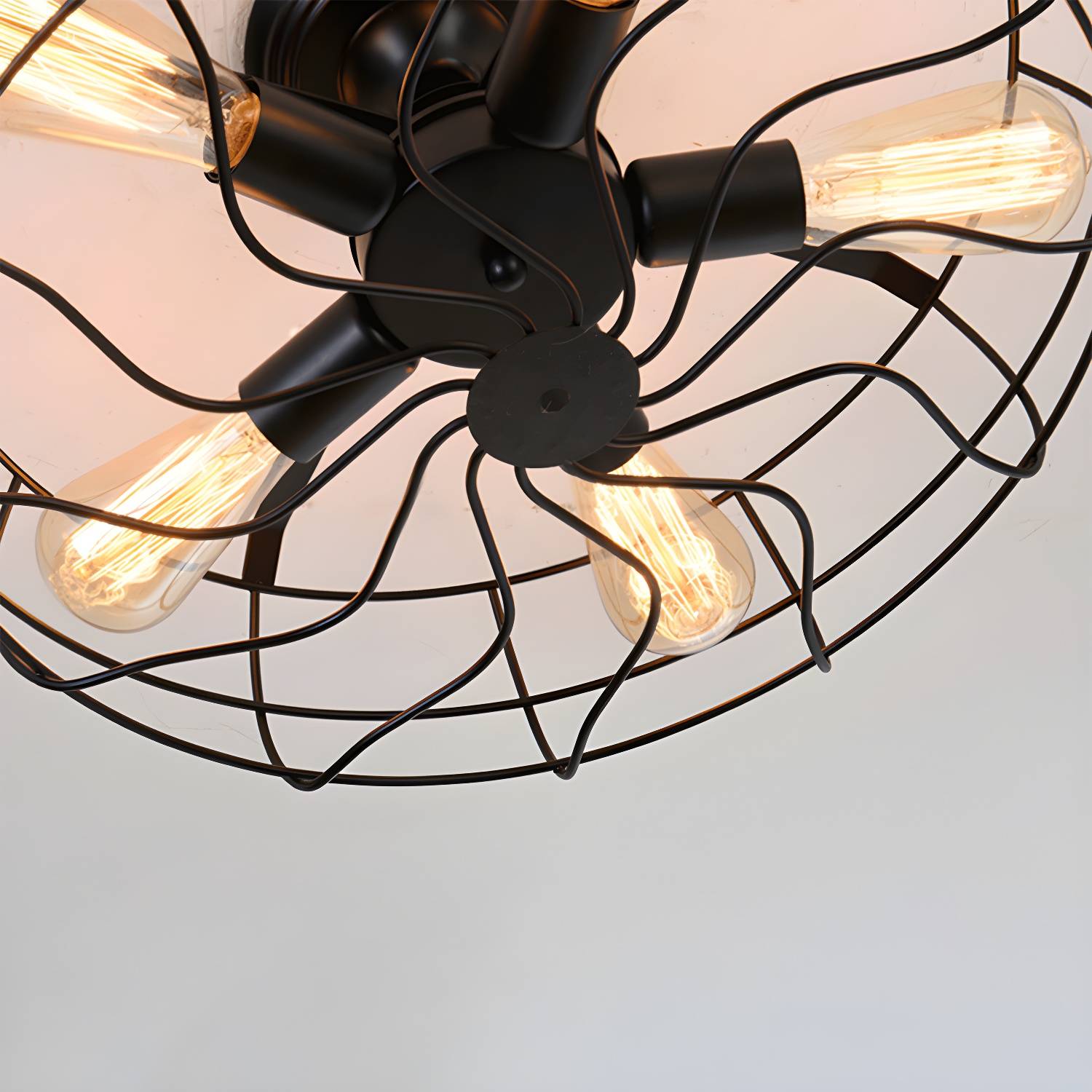 Imported image 6aa1d0d1648d 2553187.jpg