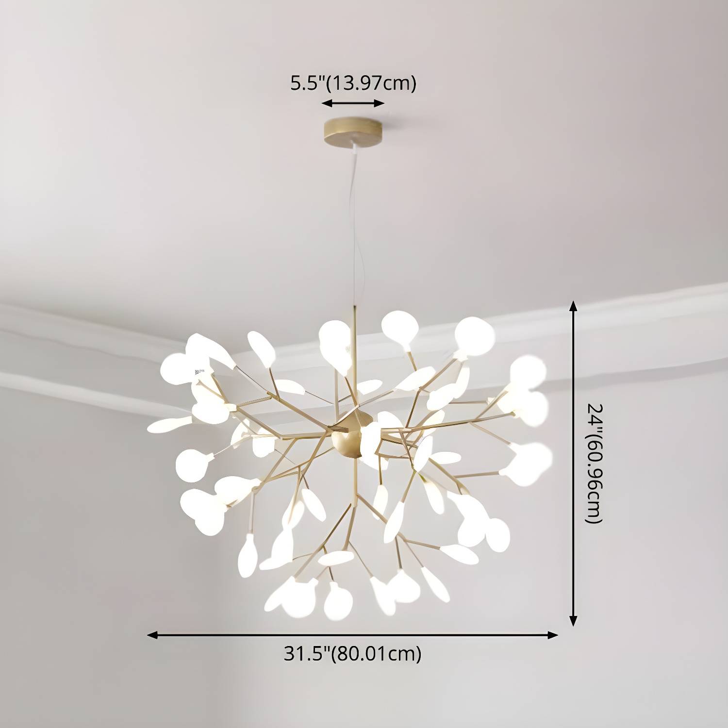Imported image f95fc3fea9c5 2555160.jpg