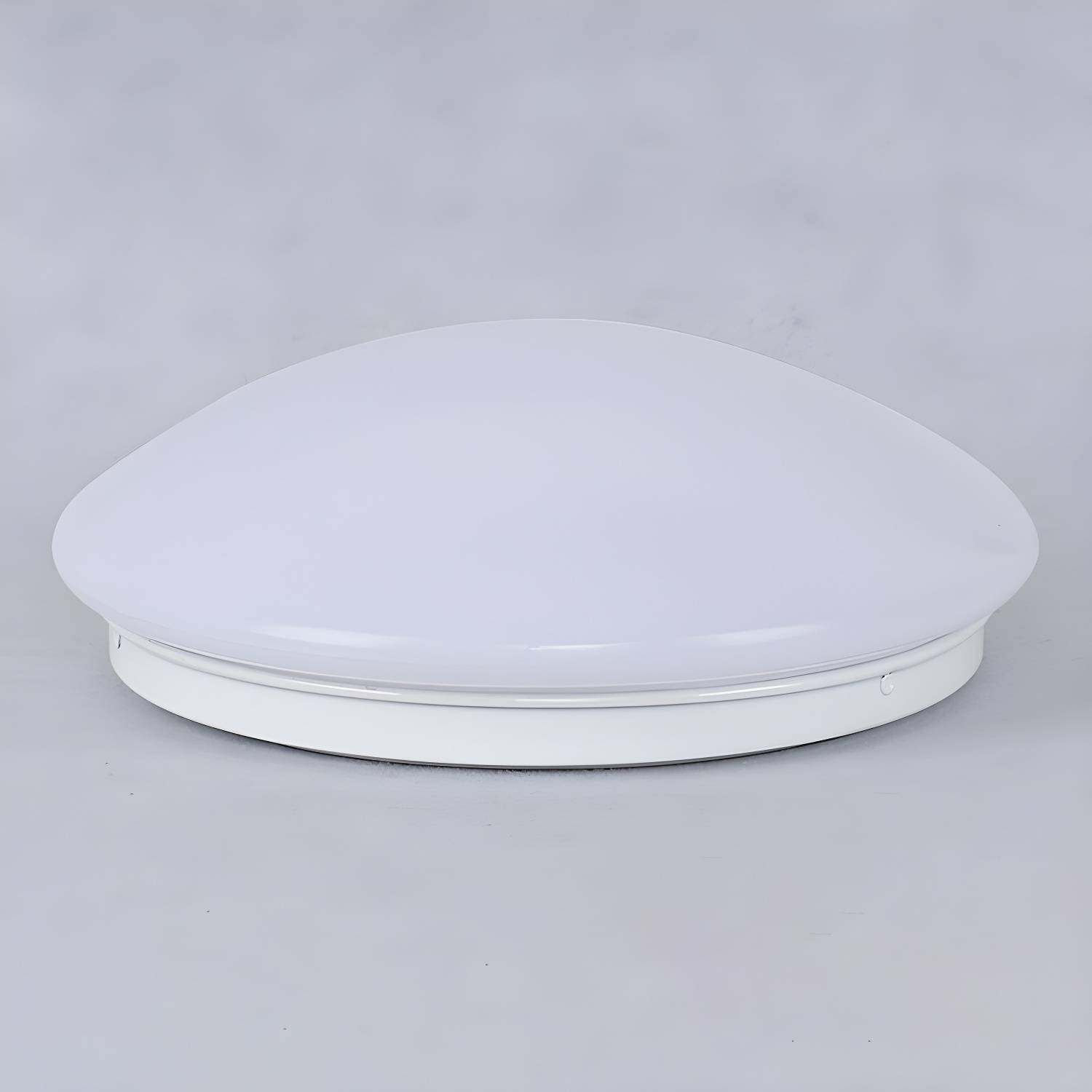 Imported image d3bcf26cbb70 2556391.jpg