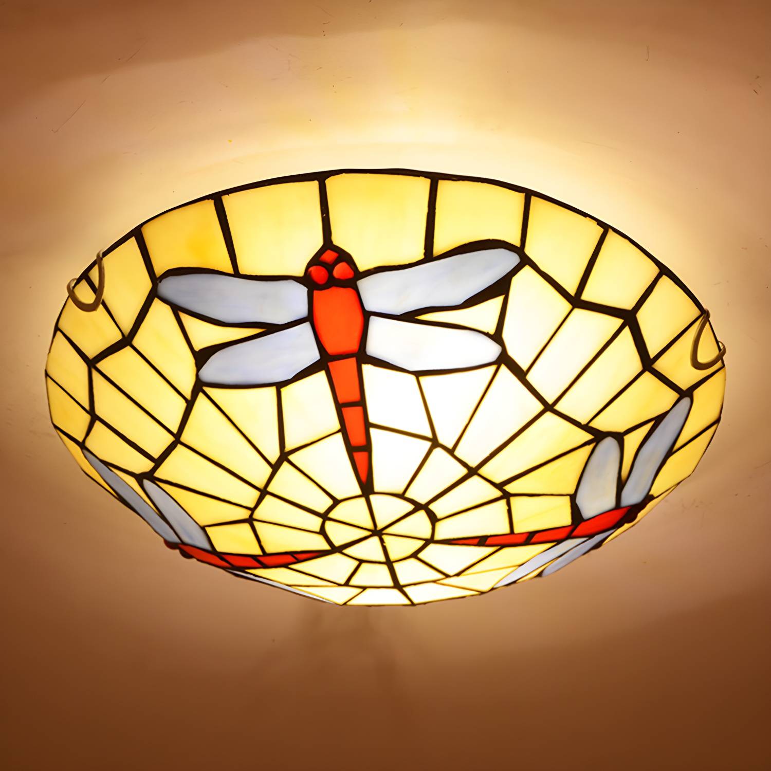 Imported image 62e08a8bb526 2556646.jpg