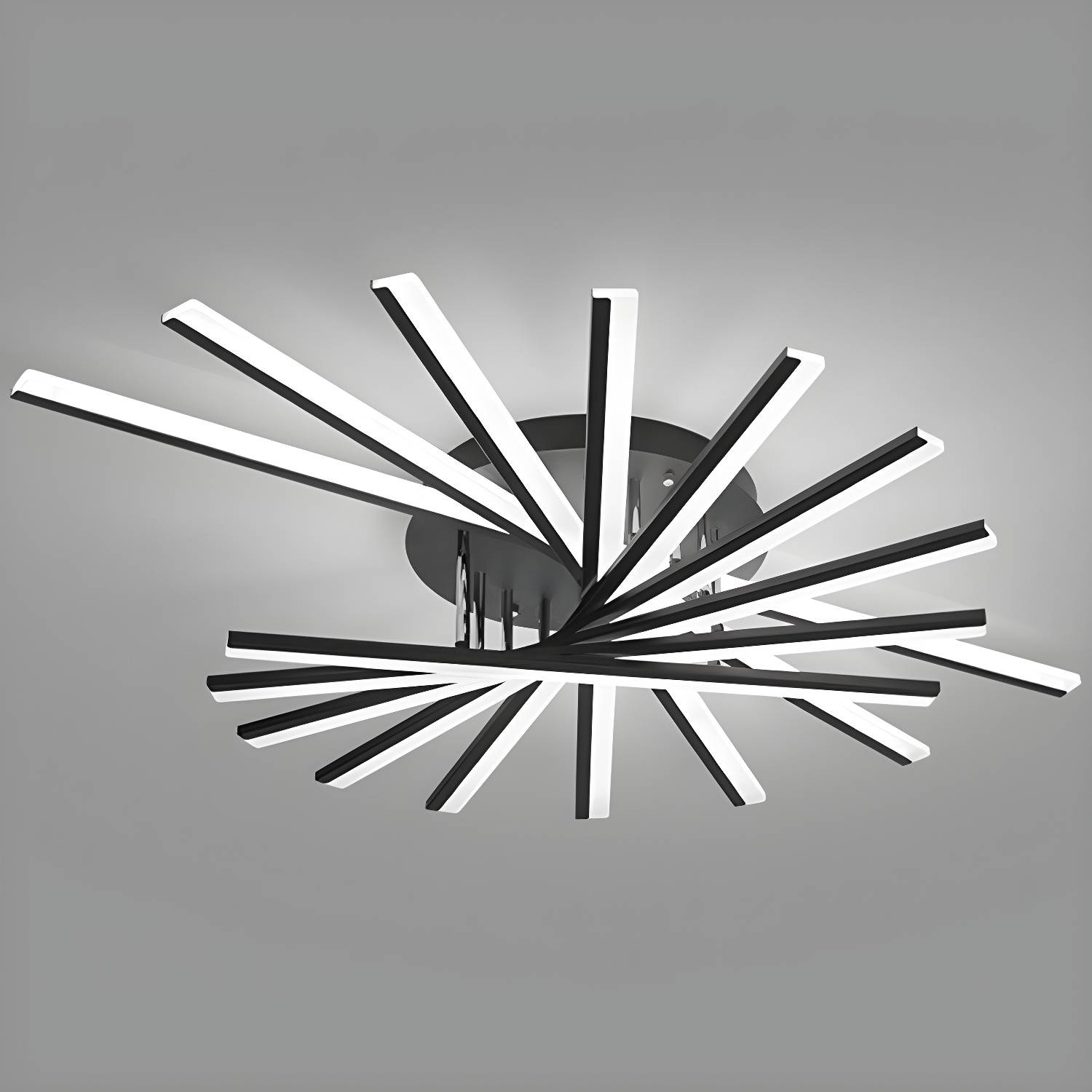 Imported image c8829b702308 2562378.jpg