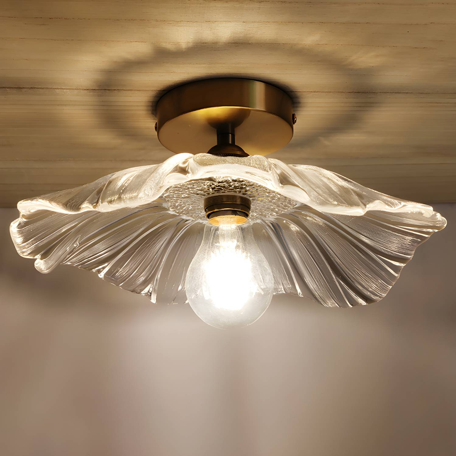 Imported image 815357169ceb 2562571.jpg