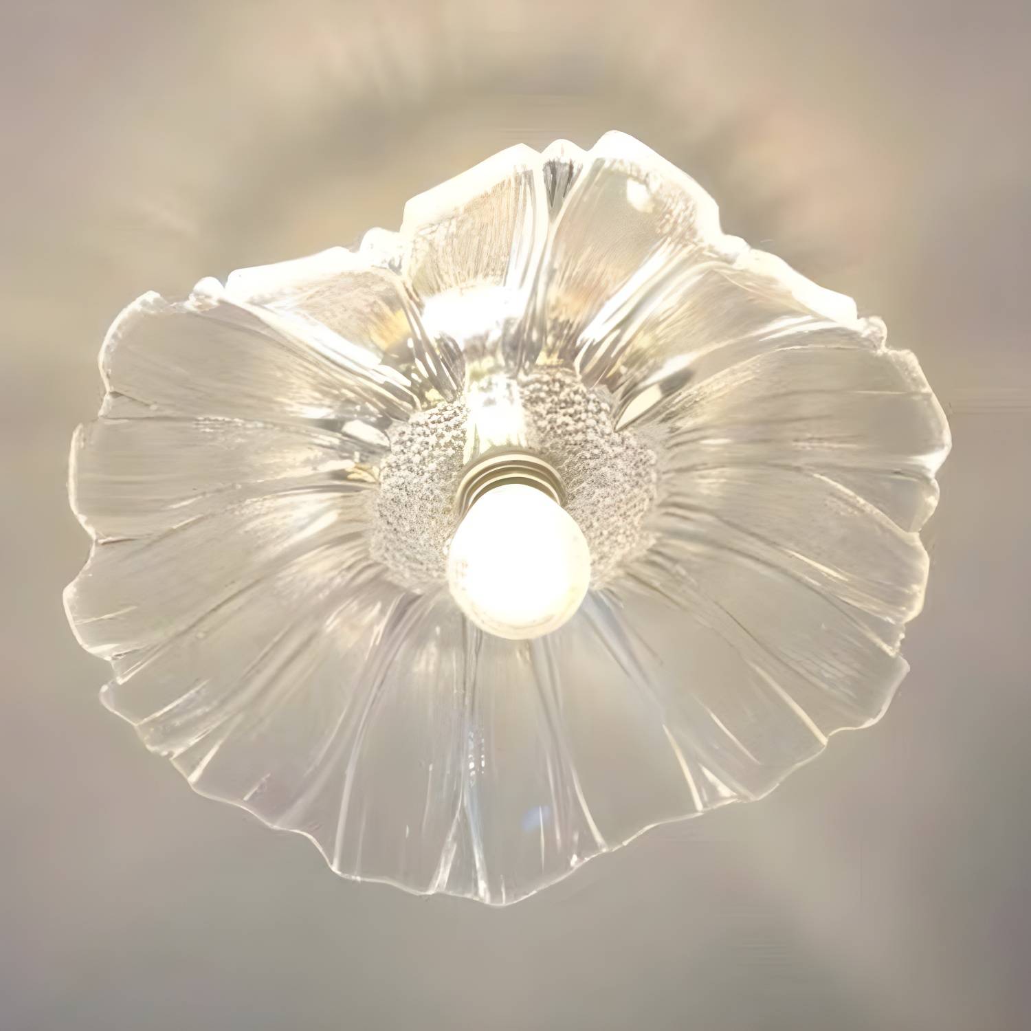 Imported image f7a3c53ce011 2562590.jpg