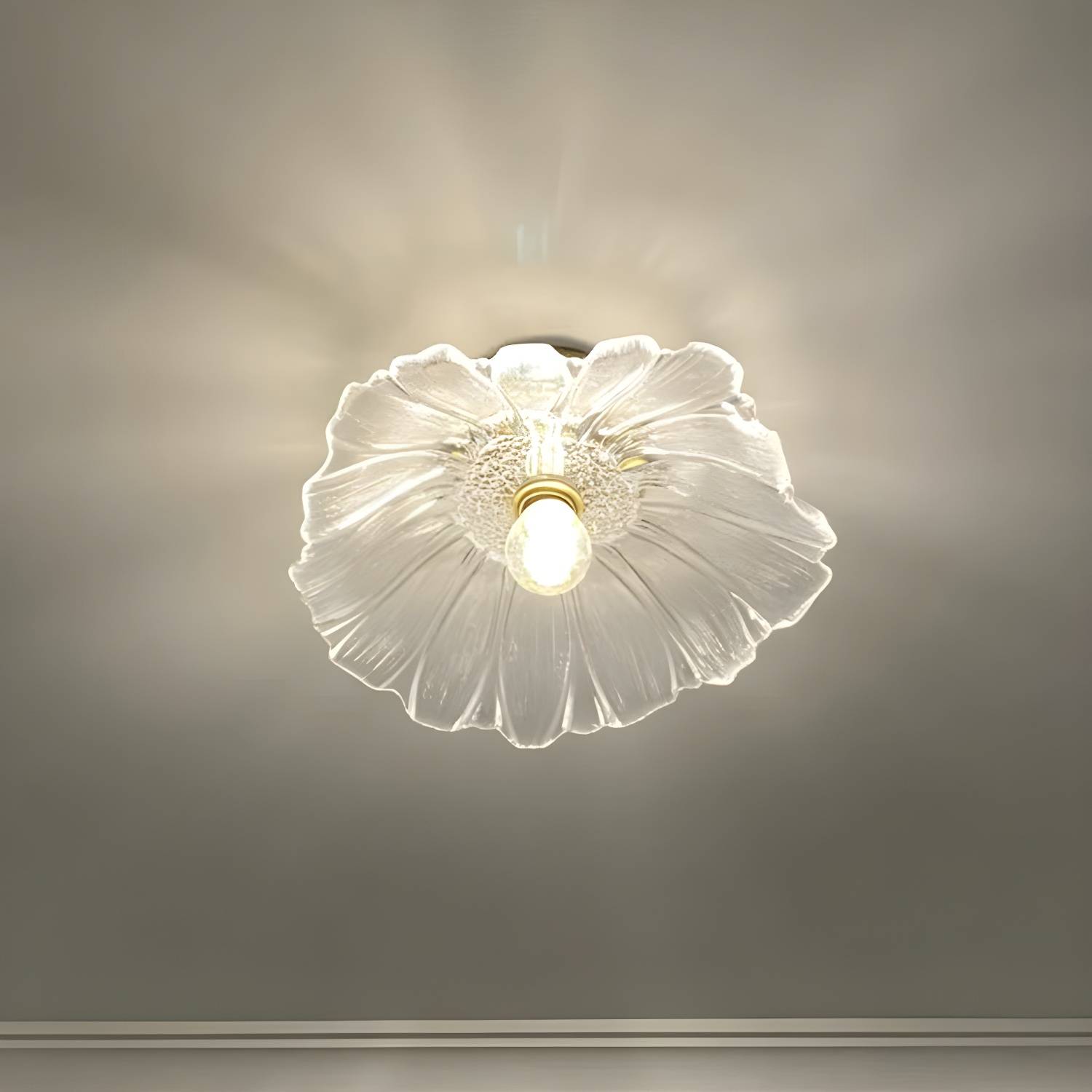Imported image 73b2ca51143c 2562594.jpg