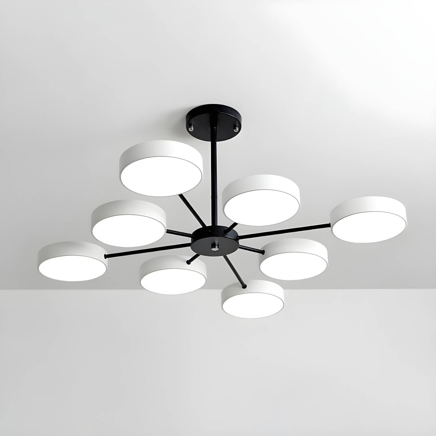 Imported image beb804ab7d36 2562919.jpg