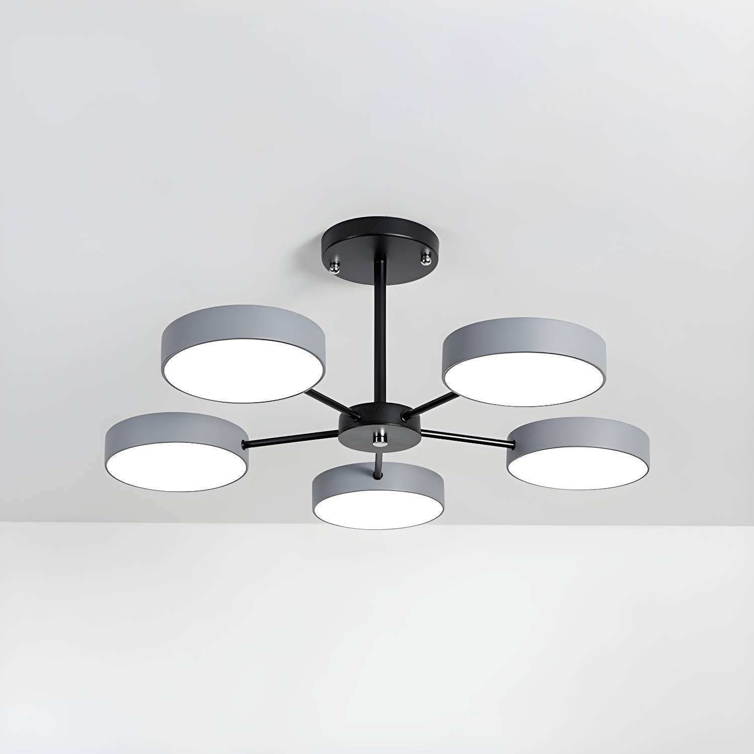 Imported image bf618b289470 2562923.jpg