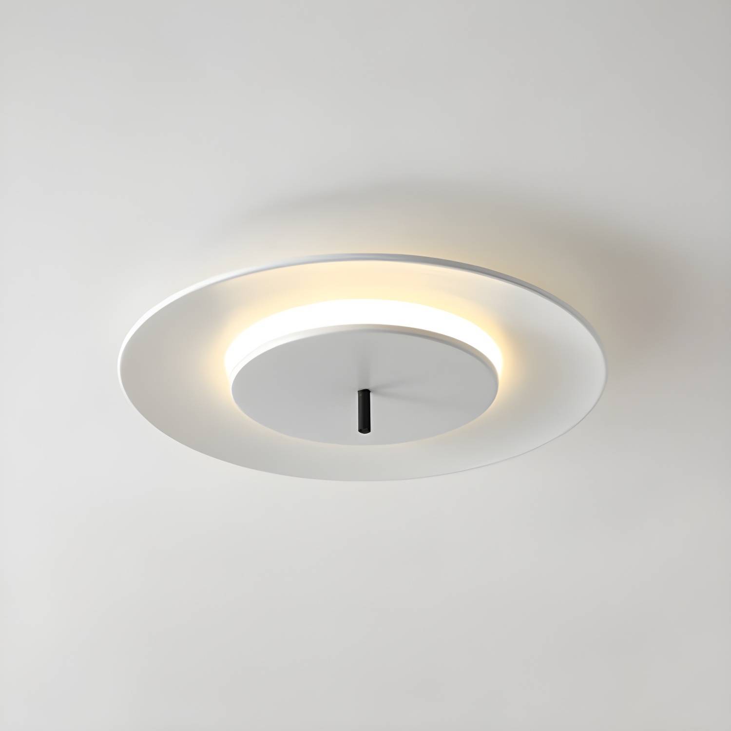 Imported image d6906a3bcabb 2604560.jpg