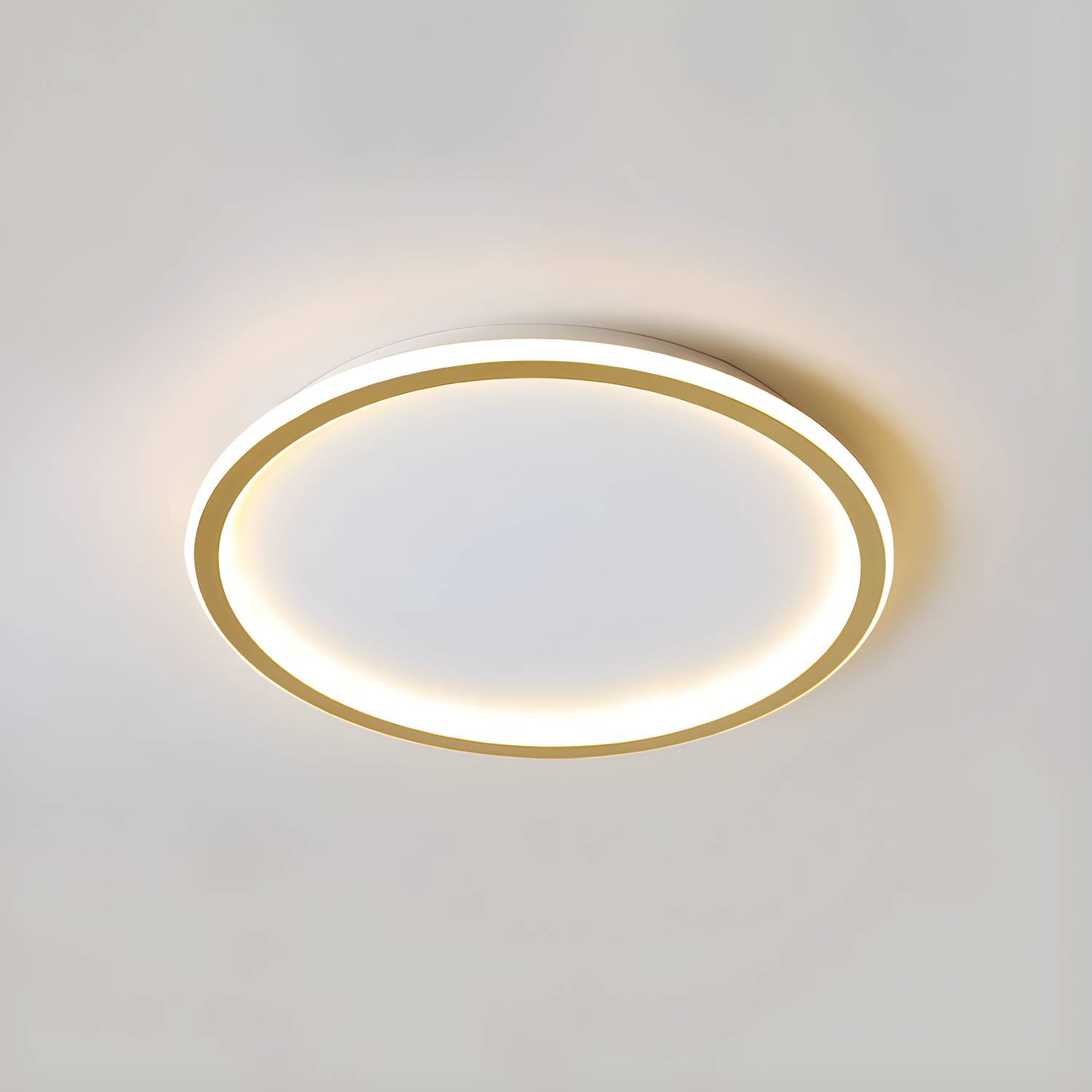 Imported image 6d3b63b7ae0d 2605680.jpg