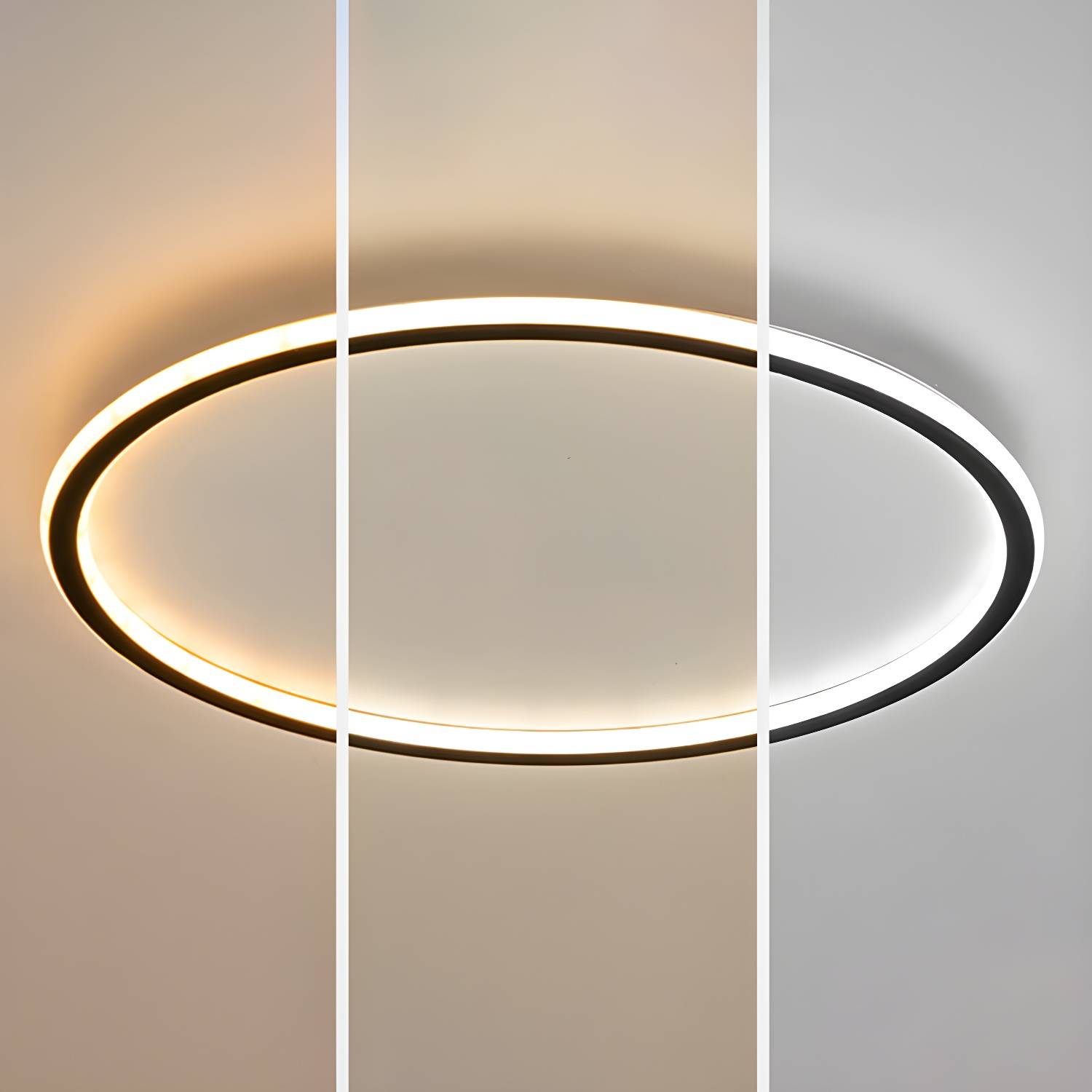Imported image 60ec8402927f 2605683.jpg