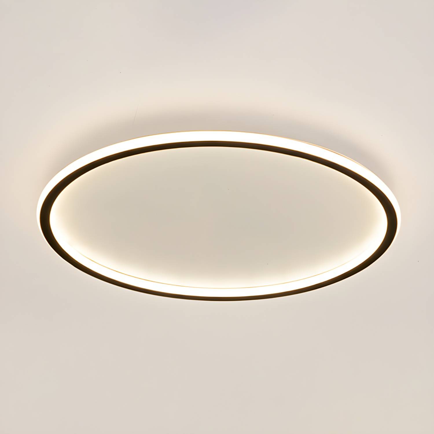 Imported image f3b20f8b7140 2605686.jpg