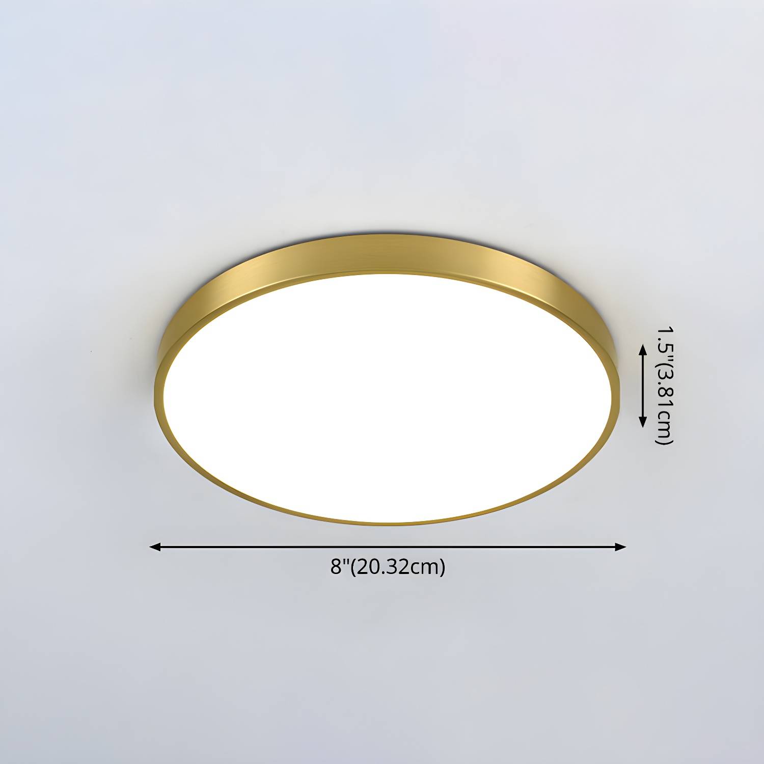 Imported image eece257b676d 2609748.jpg