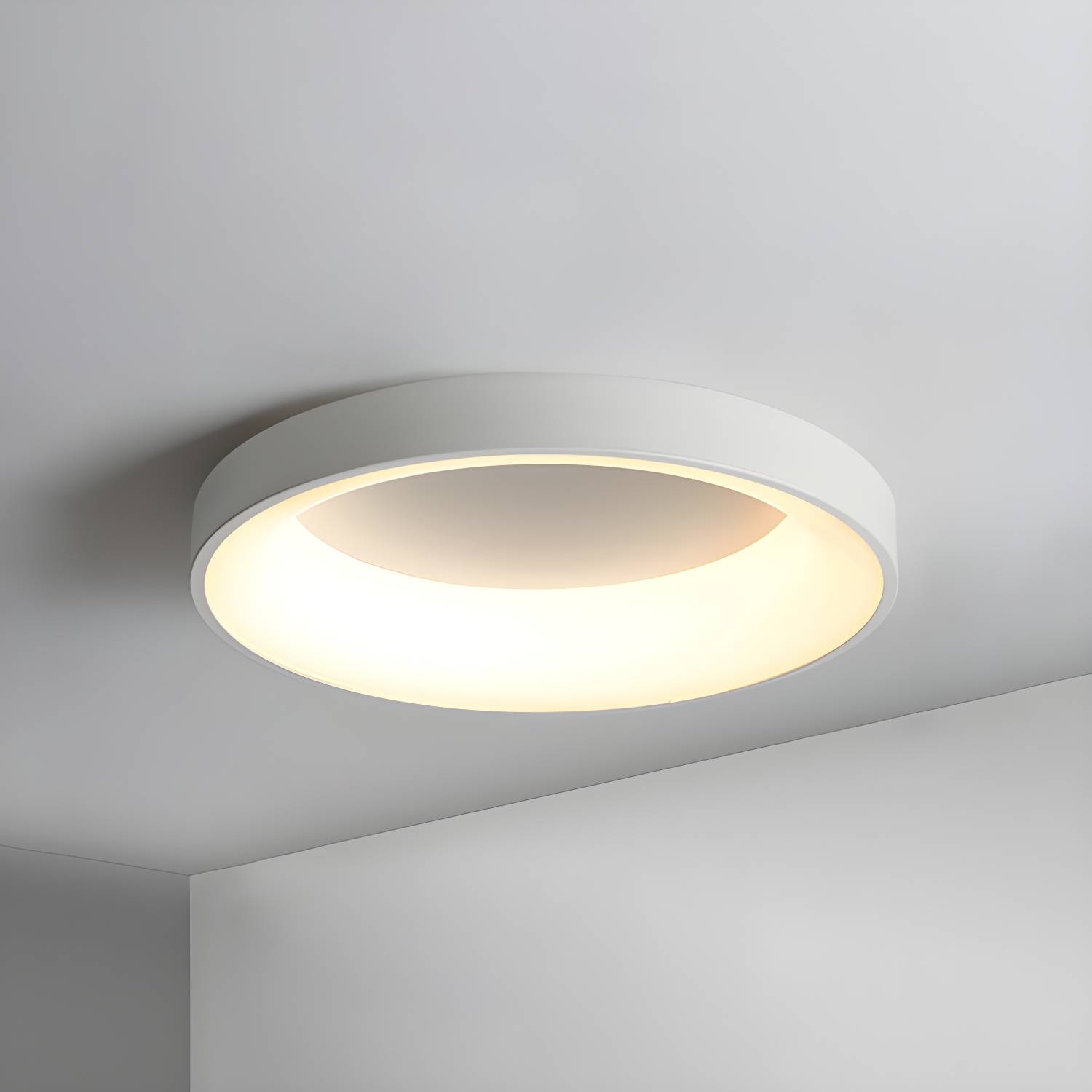 Imported image 76f7e1456e8e 2609770.jpg